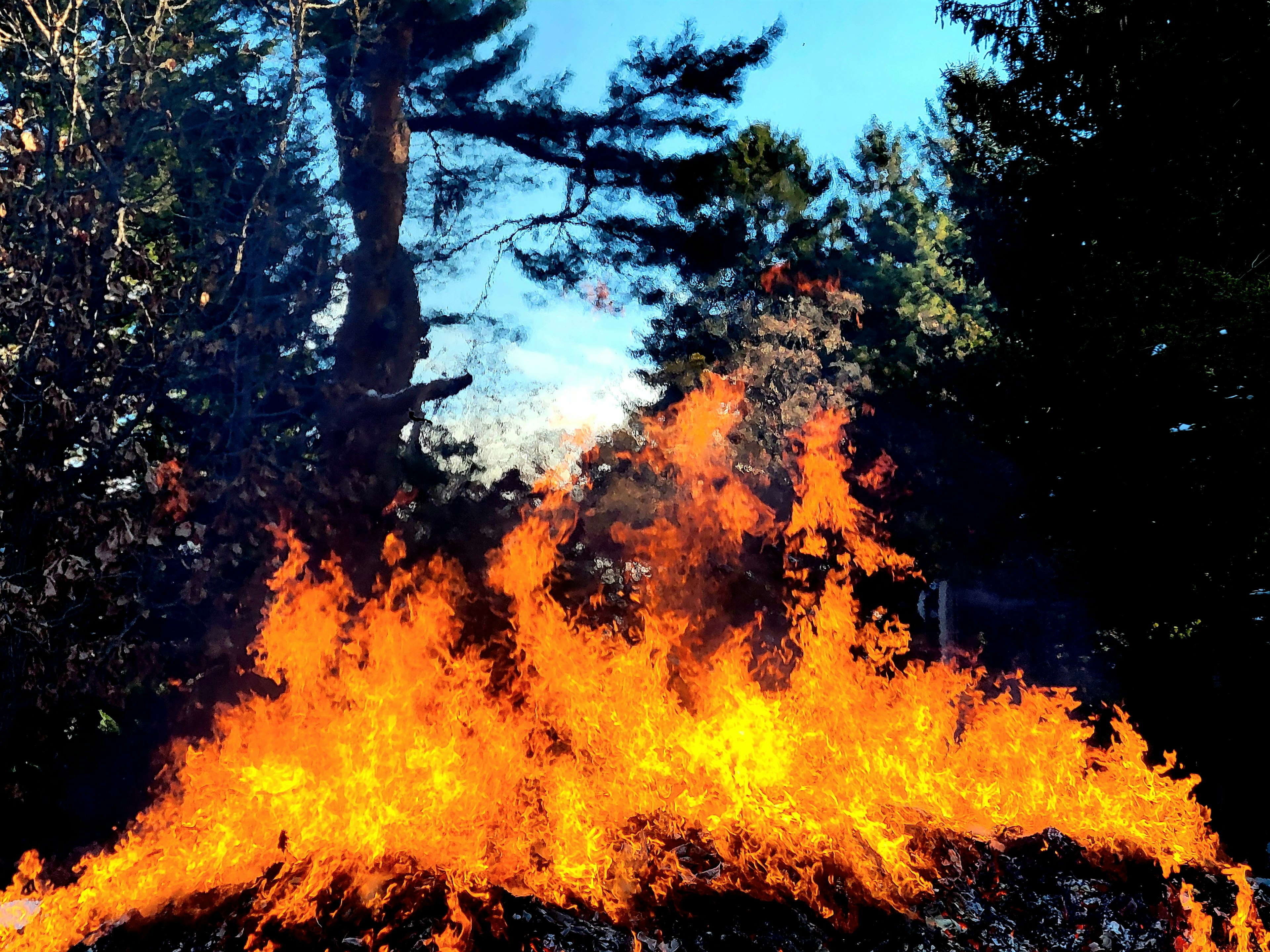 A scene of flames burning brightly under a blue sky with surrounding trees