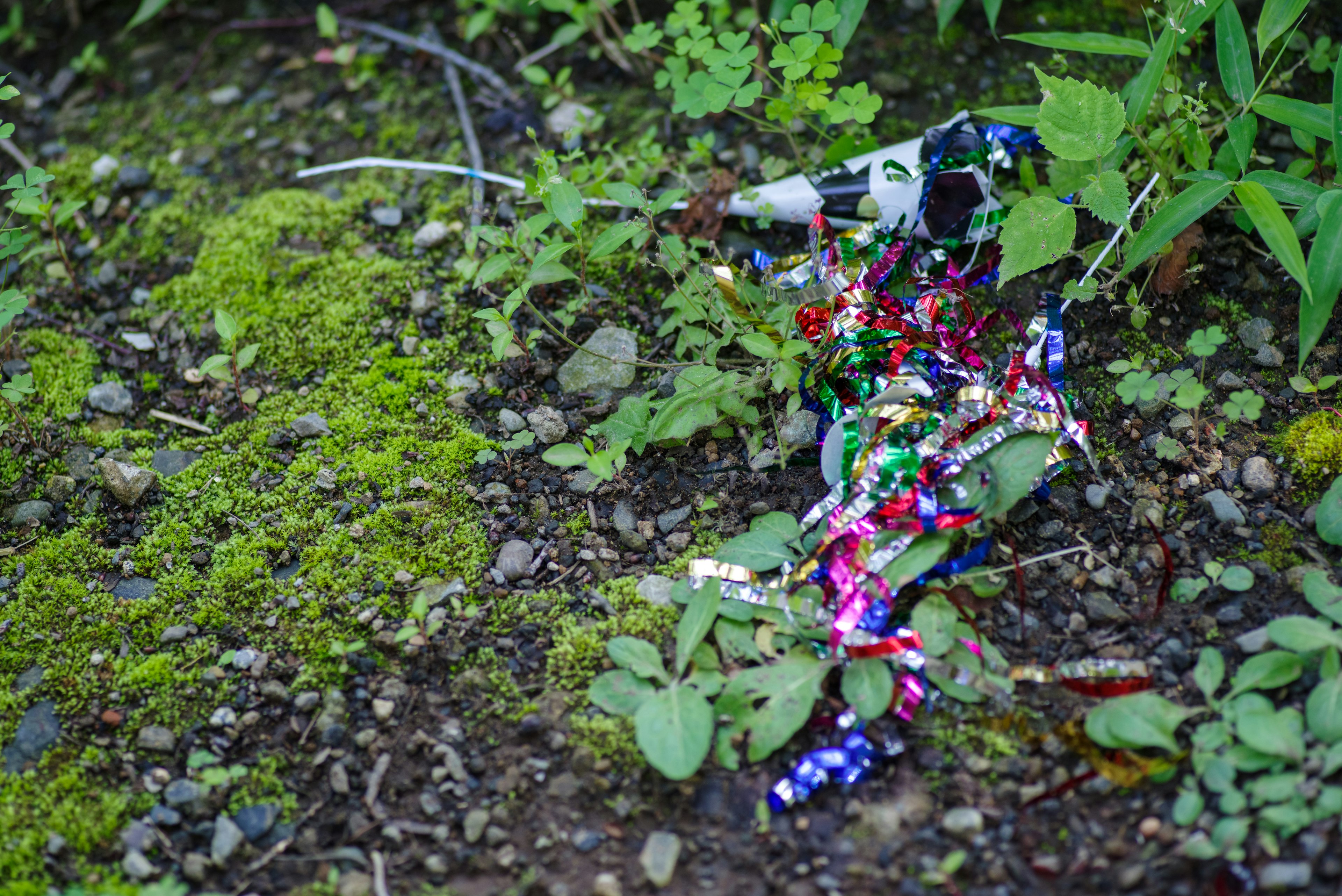 Colorful wrapping paper among green plants and moss