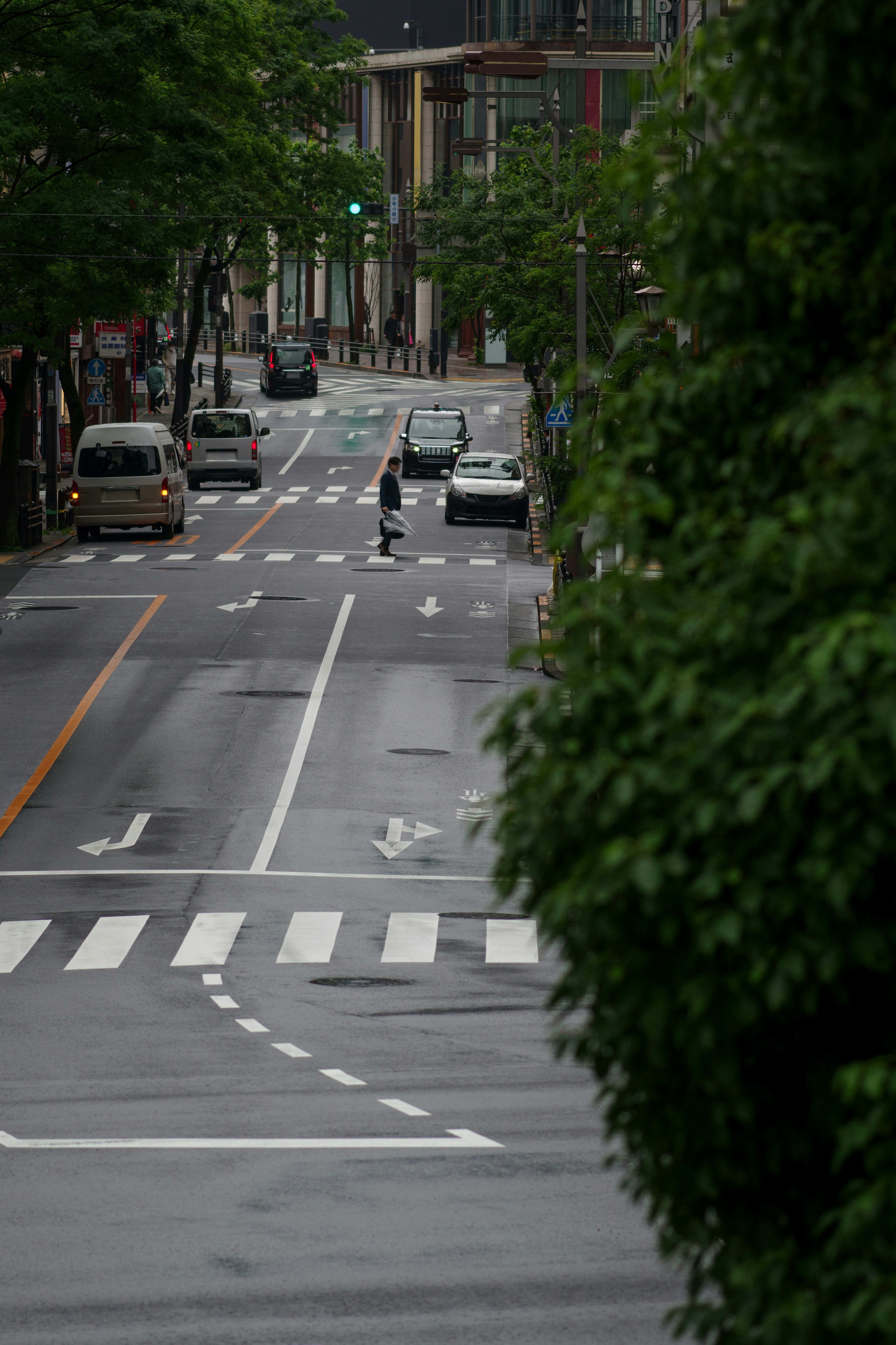 Quiet street scene after rain with a cyclist and traffic lights