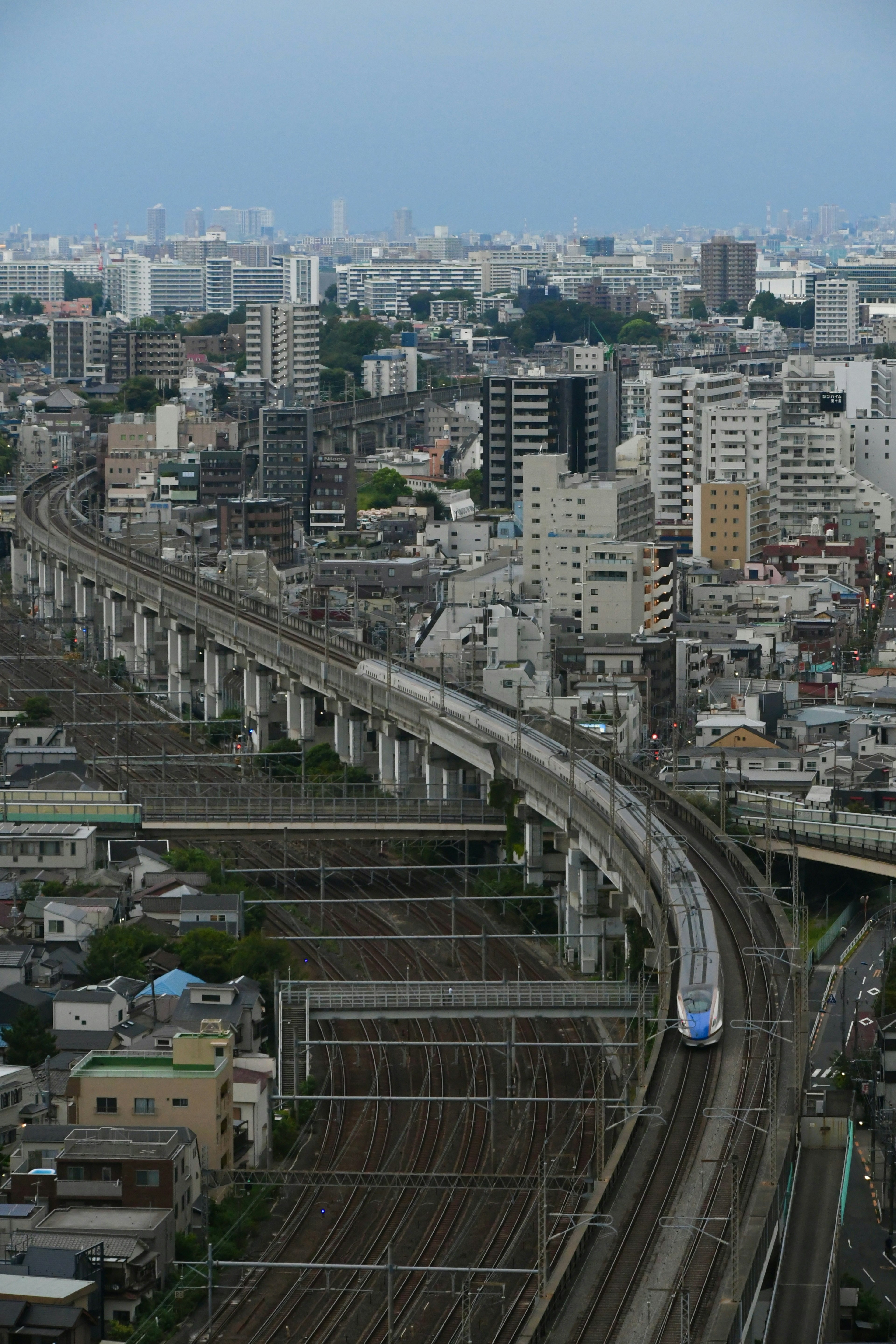 在城市天際線背景下行駛的高架鐵路上的火車