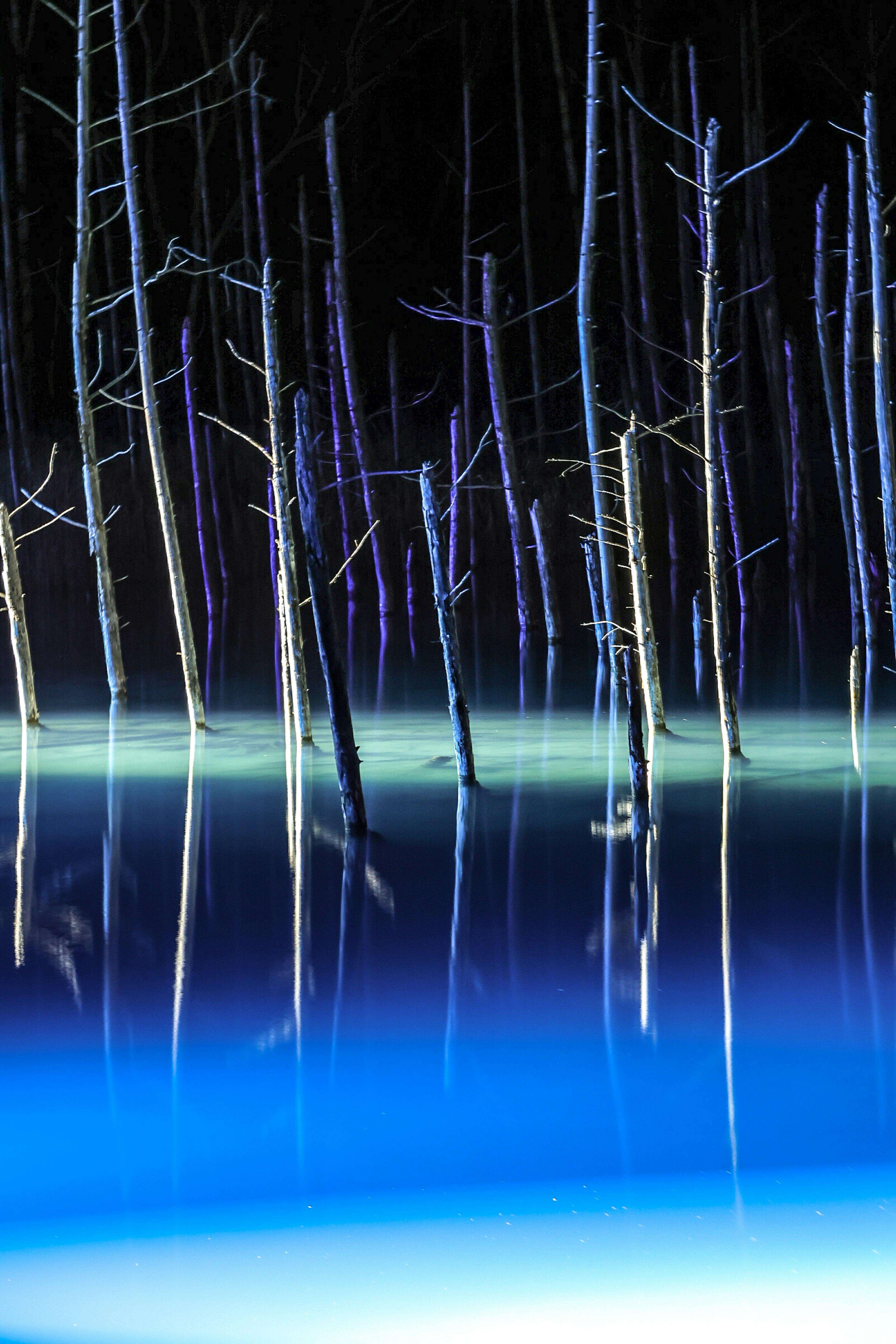 Silhouetten von blau-violetten Bäumen, die sich im ruhigen Wasser mit ätherischem Licht spiegeln