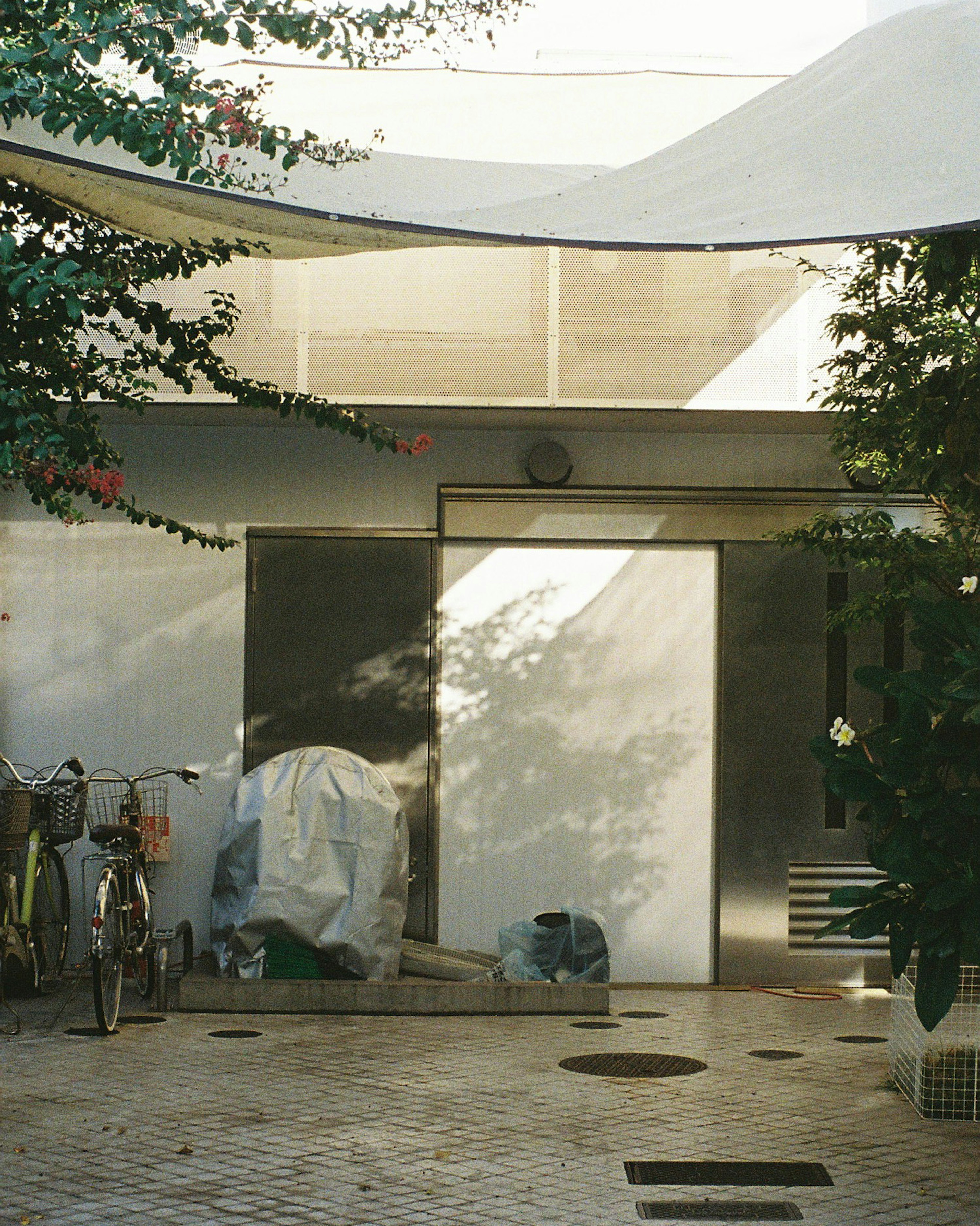 Modern building entrance in an outdoor space with a bicycle and surrounding plants