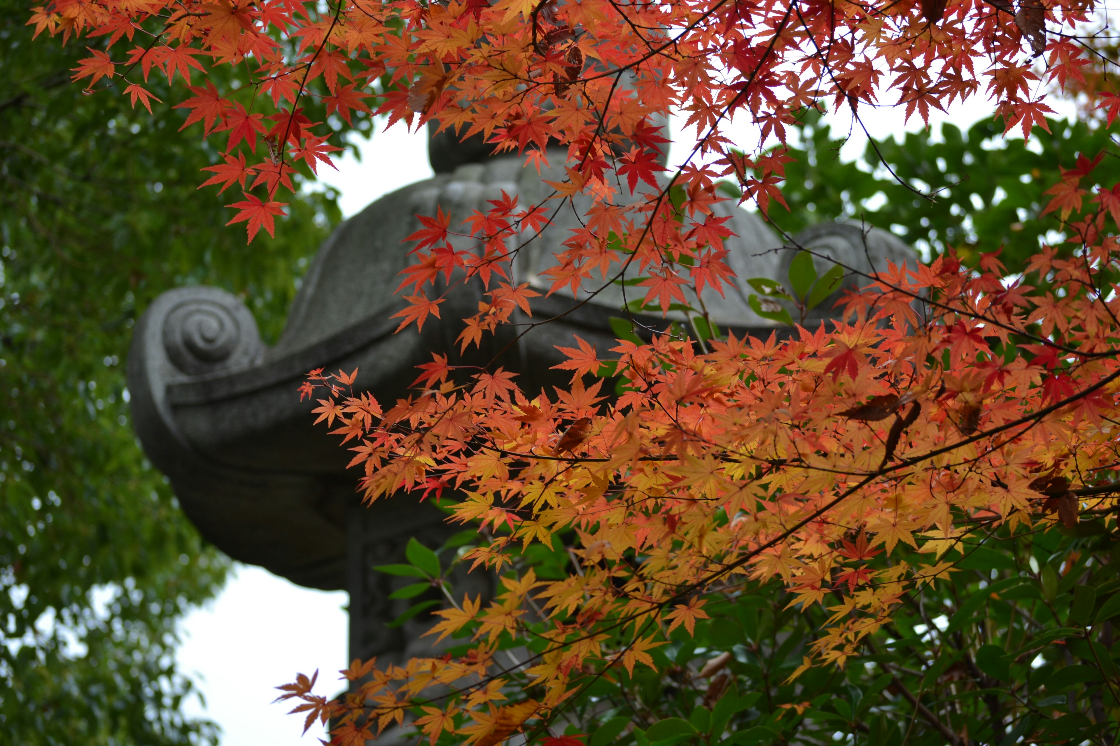 Vista escénica de una linterna japonesa rodeada de vibrantes hojas de otoño