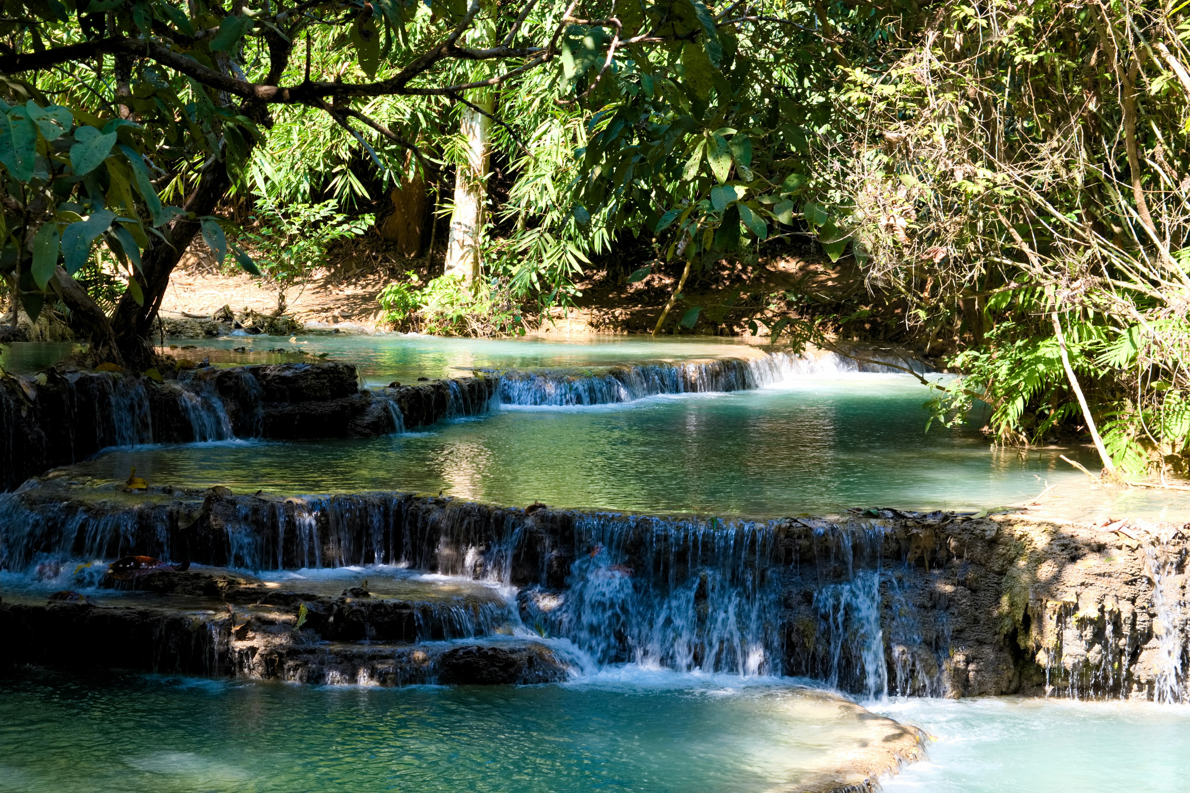 青い水が流れる滝のある自然の風景