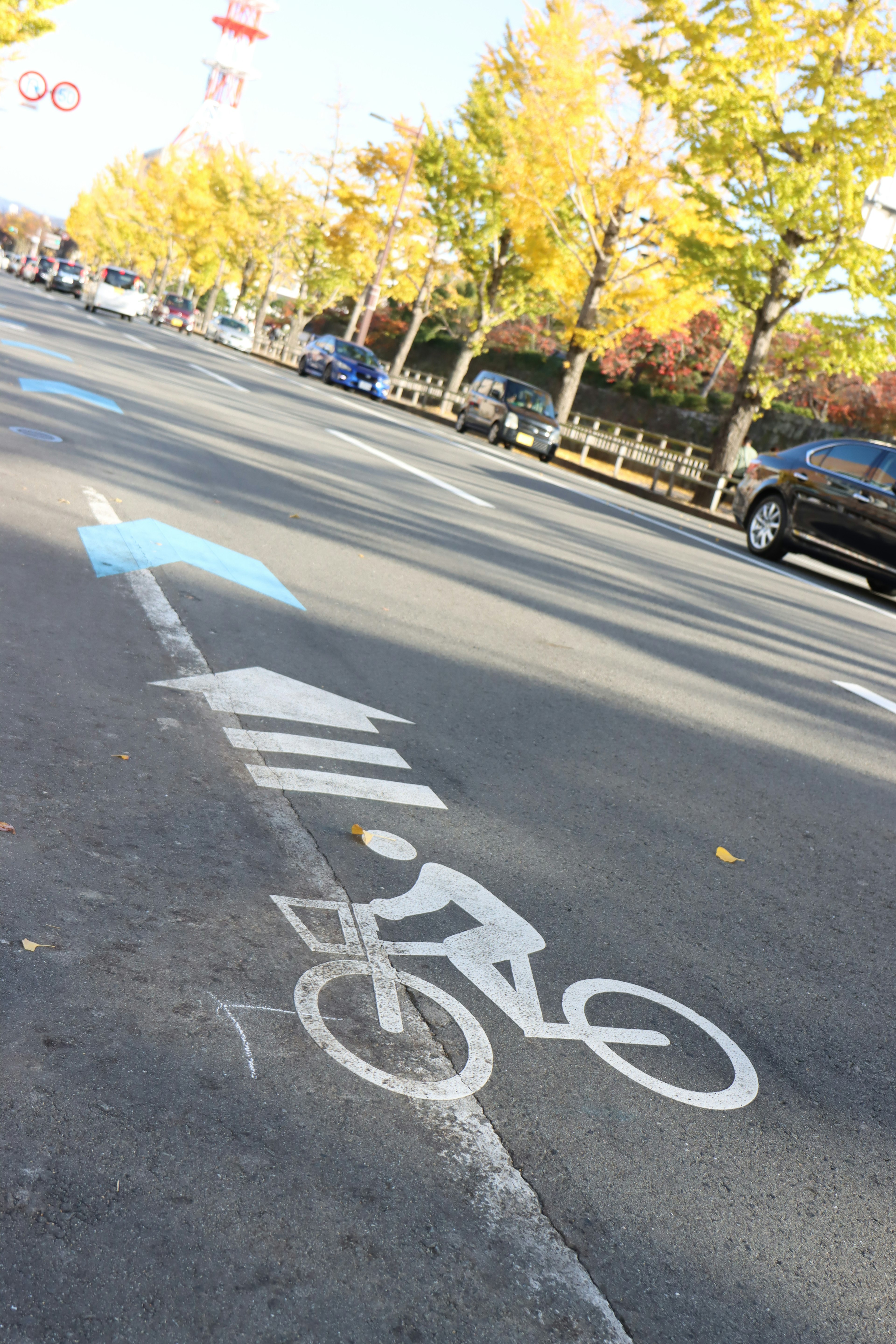 自転車専用レーンの白いペイントと青い矢印が見える街の風景