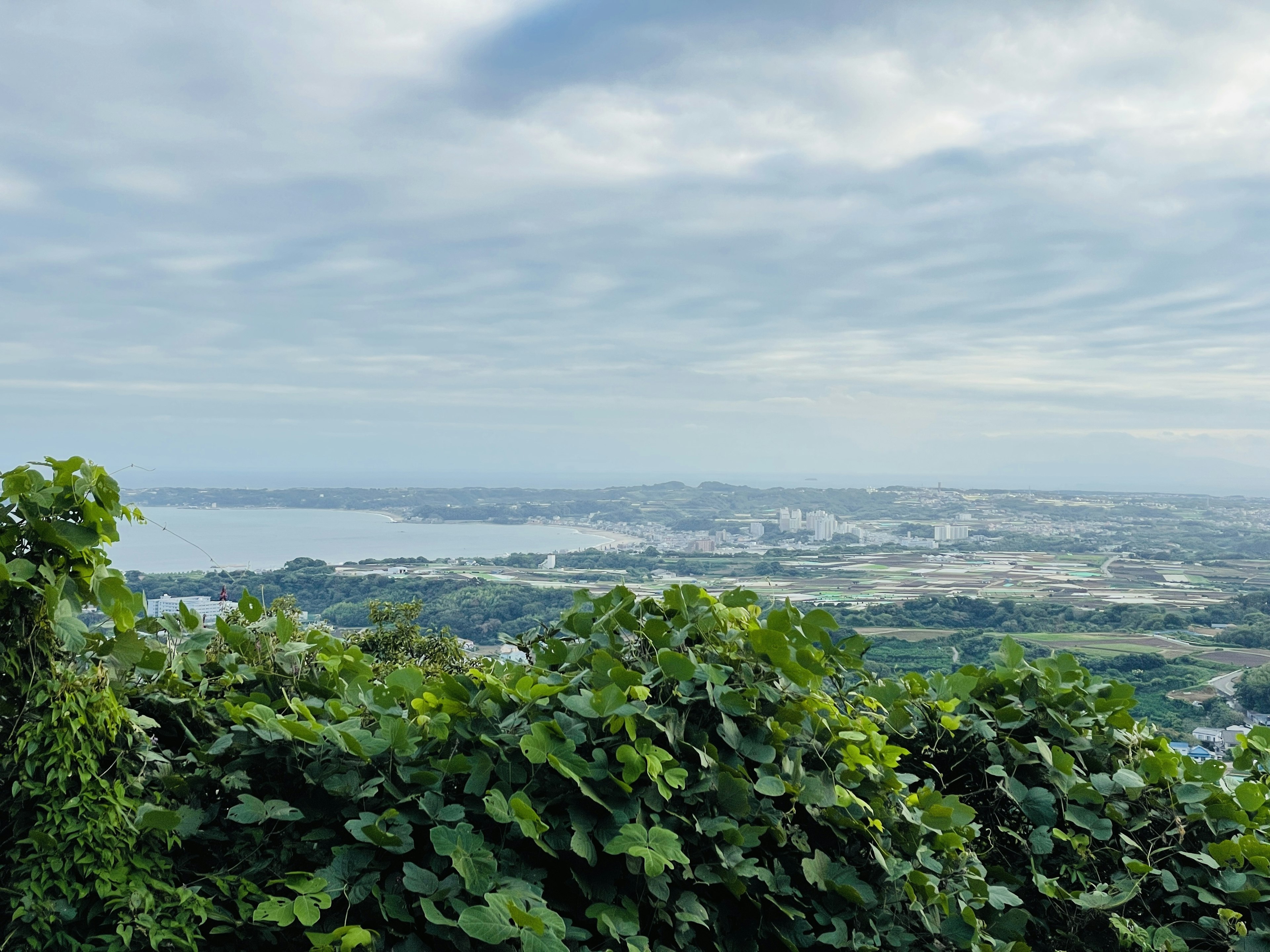 Expansive landscape view bordered by lush green leaves and a calm lake