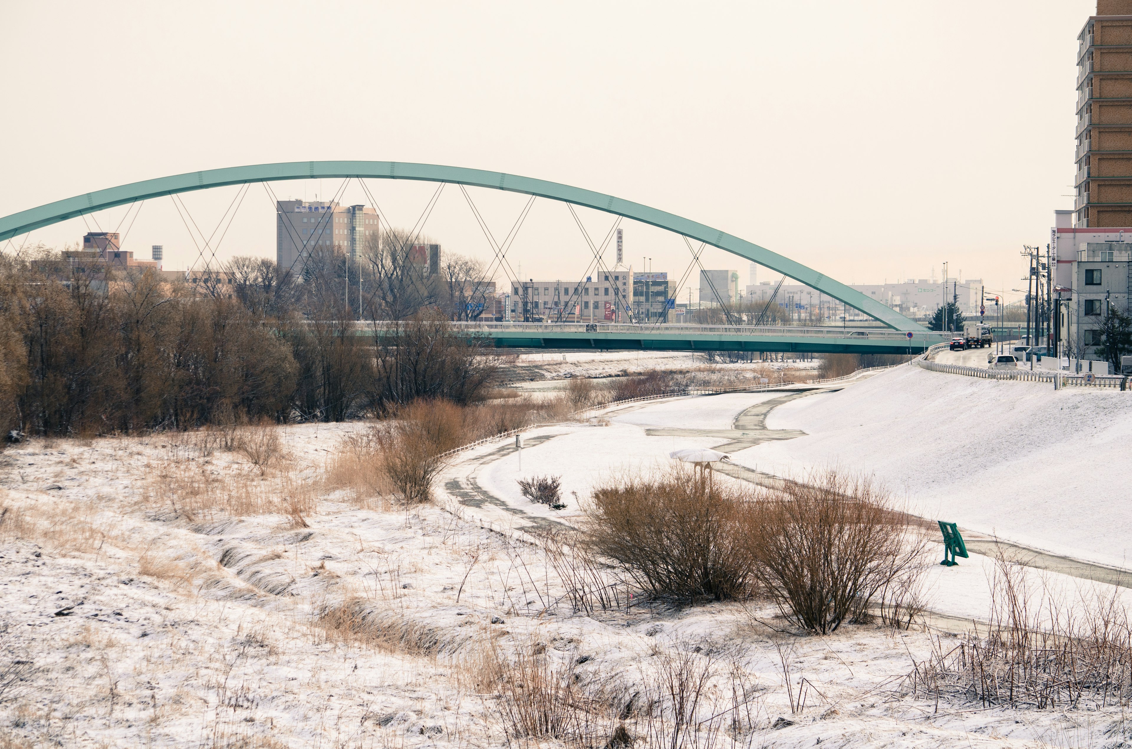 Scena invernale con un fiume coperto di neve e un ponte ad arco verde