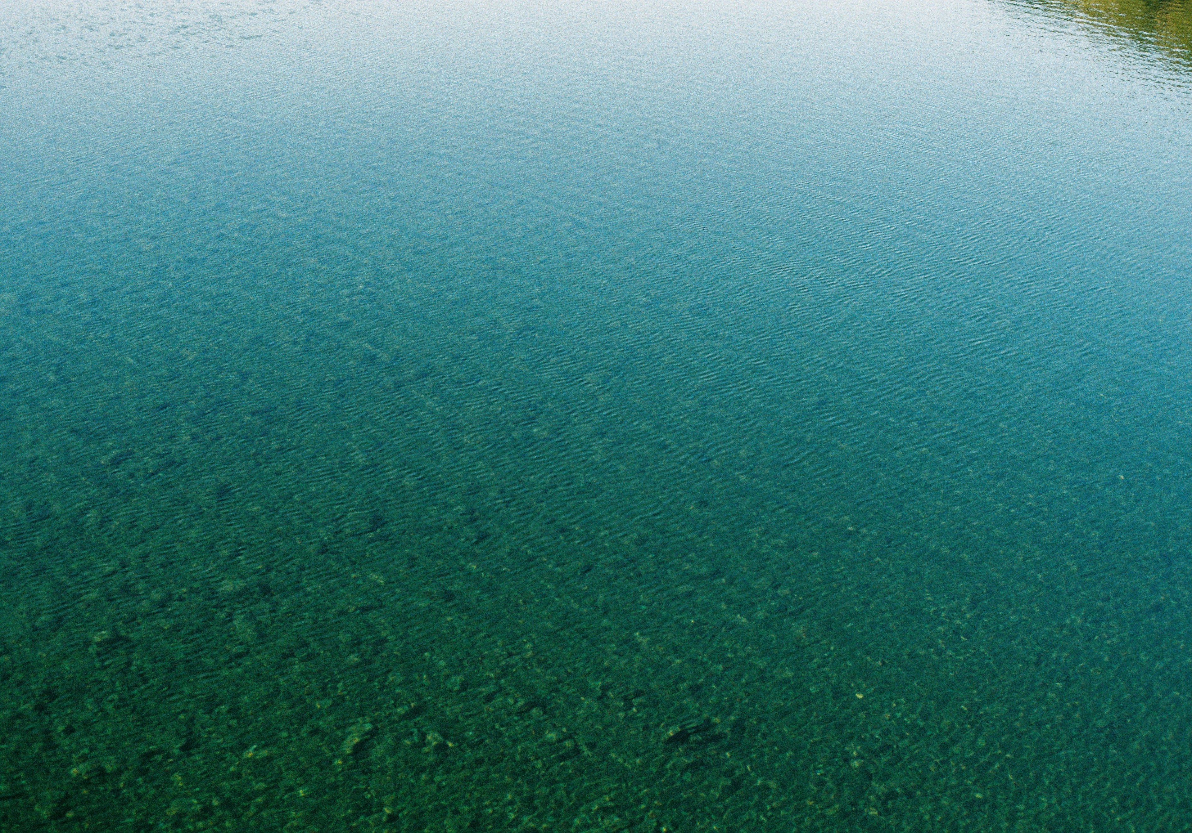 Superficie di lago calma con alta trasparenza e riflessi chiari