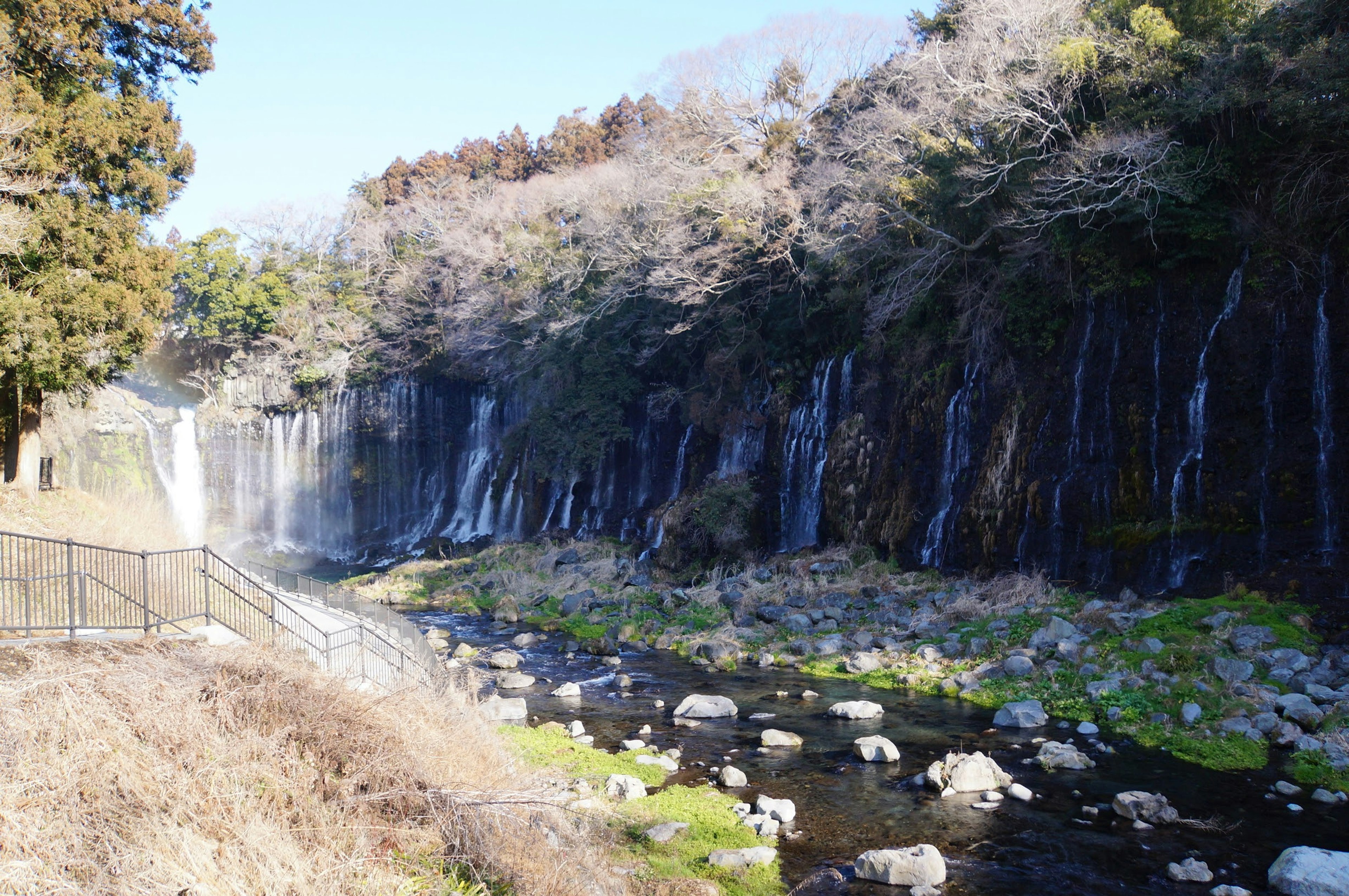 美しい滝と緑の草地の風景