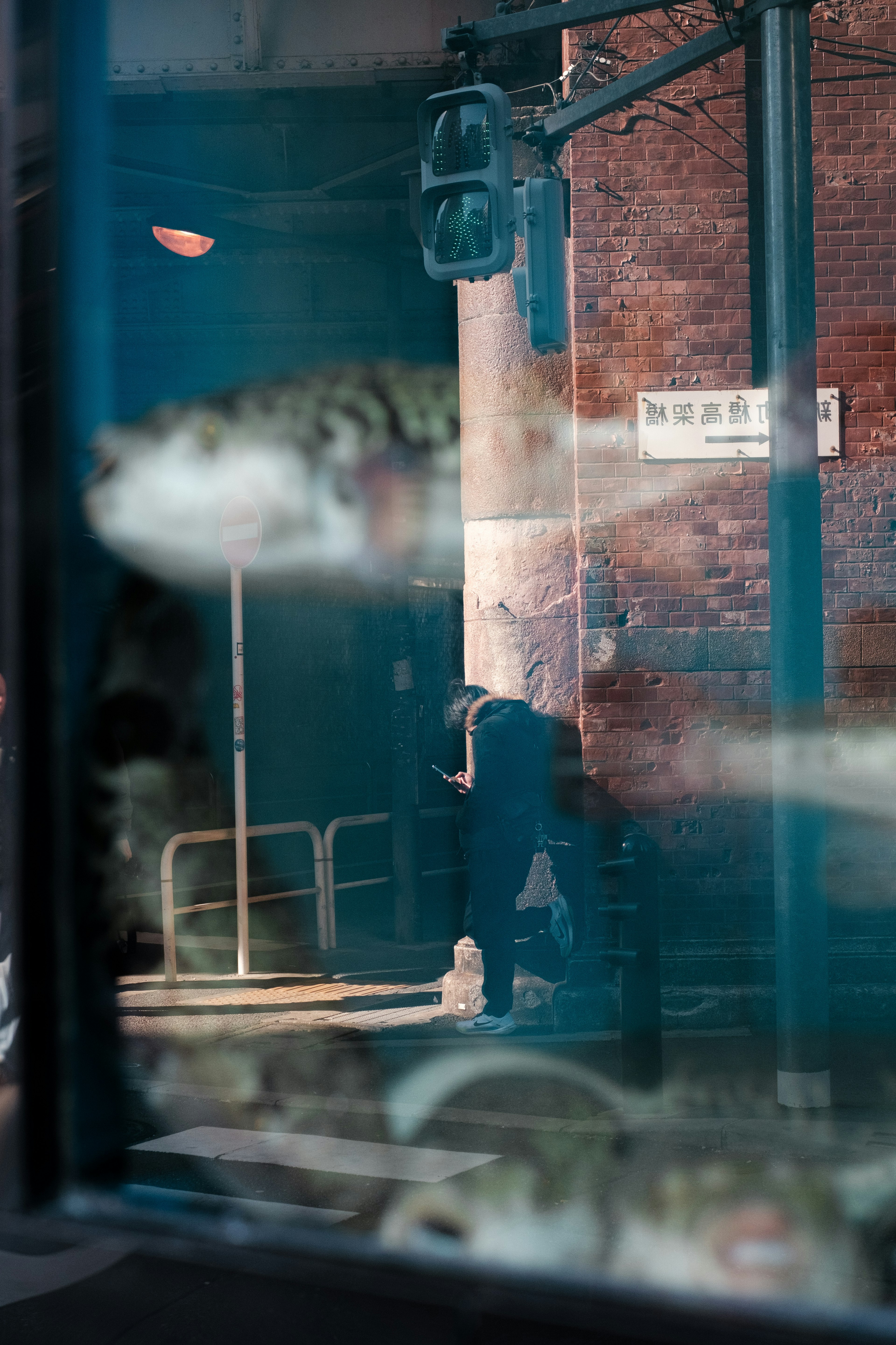 透過玻璃水族箱看到的魚和背景的磚牆