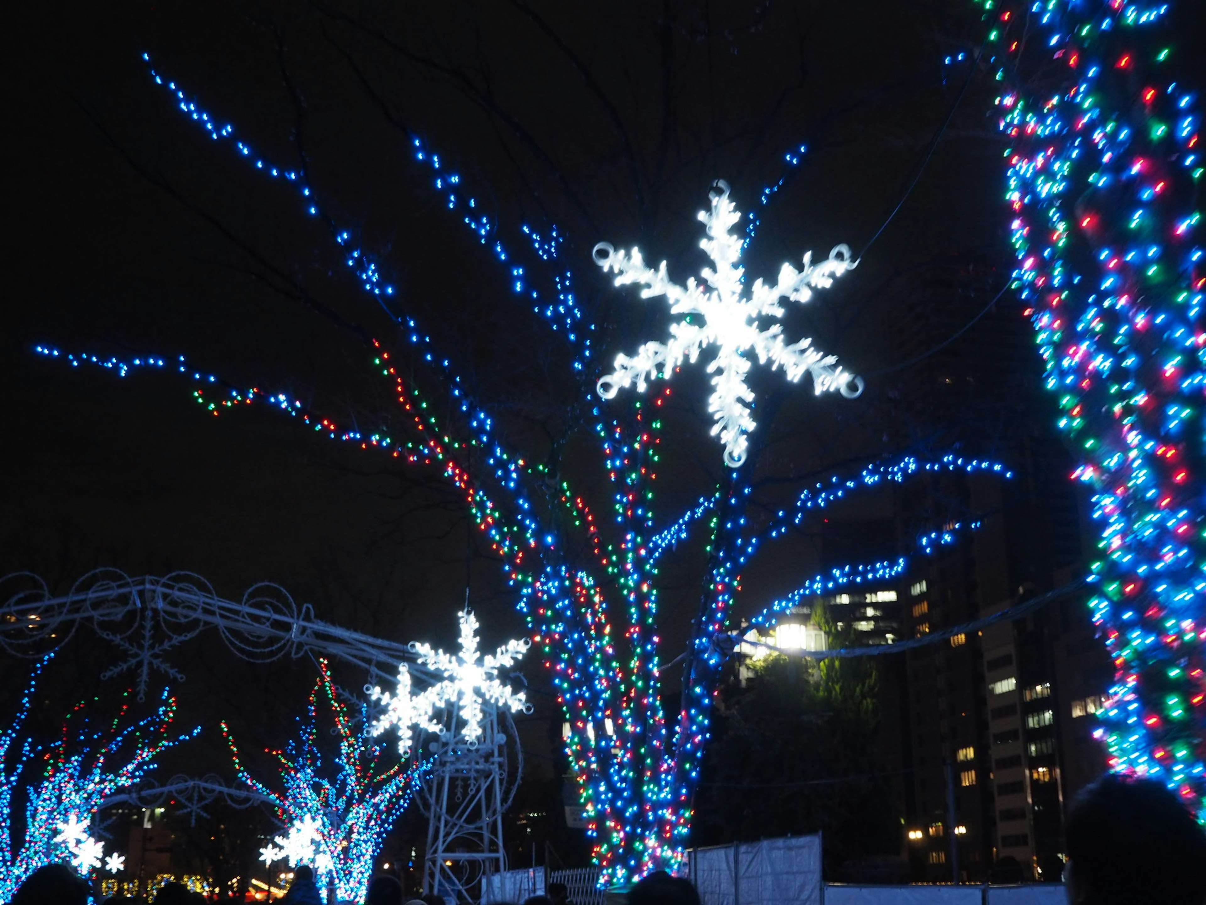 Luces coloridas azules y blancas iluminando árboles por la noche con decoraciones de copos de nieve