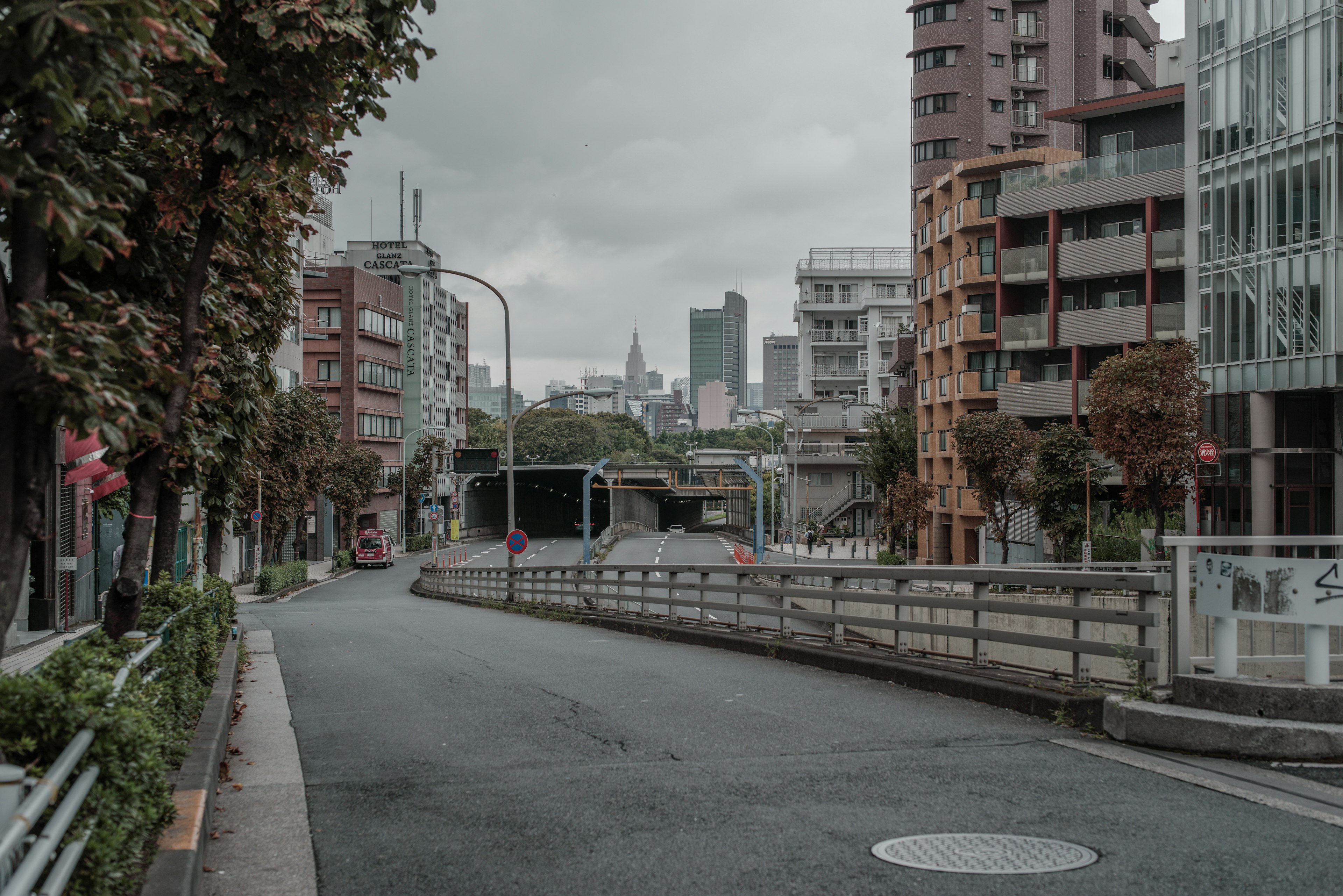 Quiet urban landscape with gray sky, buildings and street, lined with trees