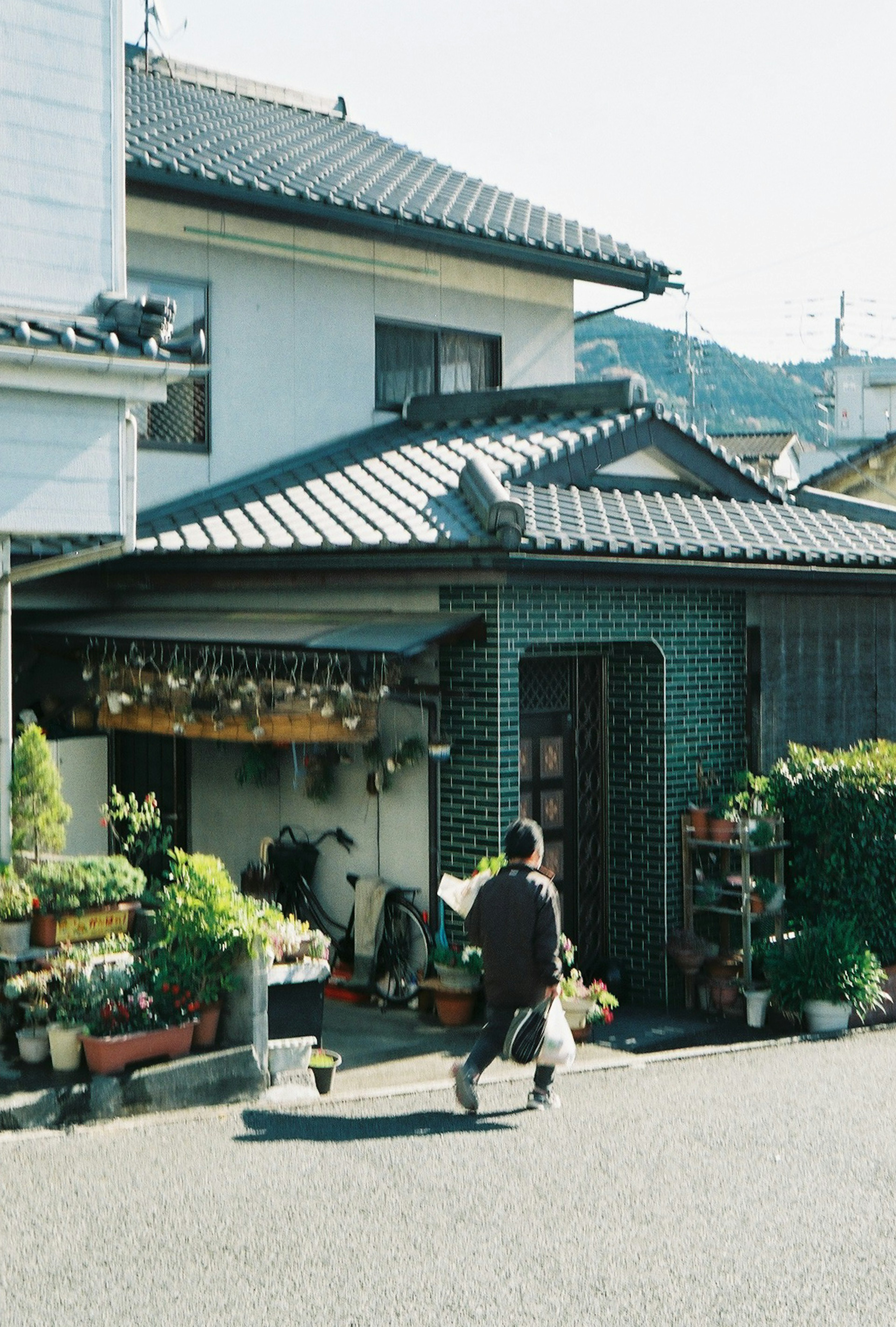 Rumah tradisional Jepang di jalan tenang dengan tampilan tanaman subur