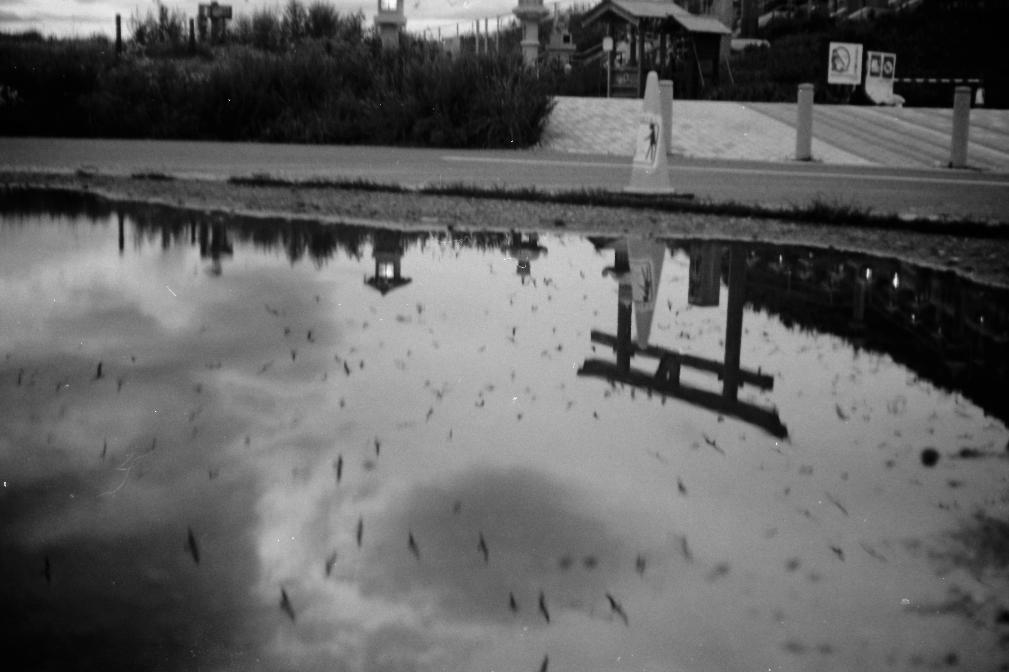 水面に映る鳥居と周囲の風景のモノクロ写真