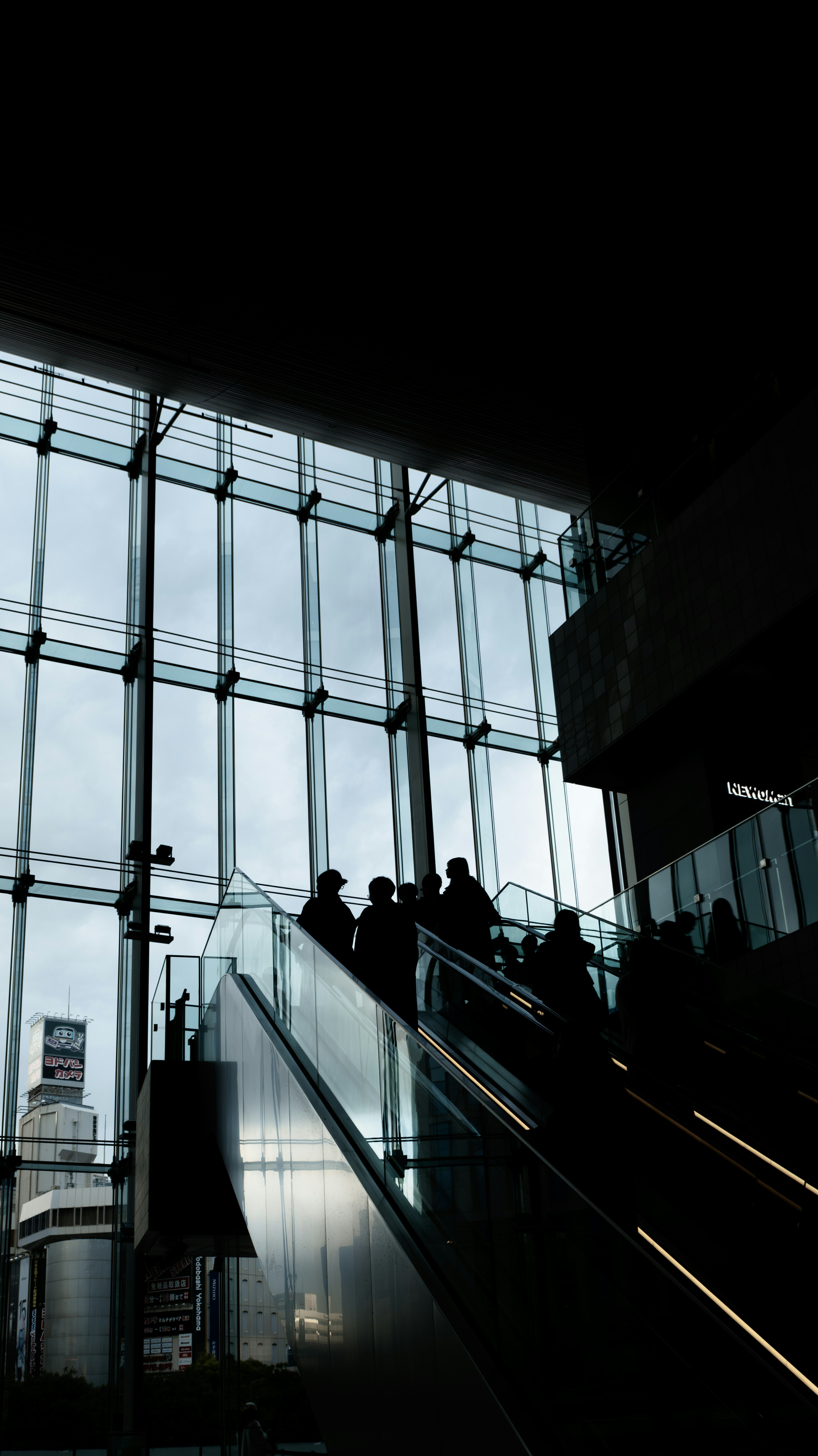 Silhouettes of people ascending an escalator in a building with glass walls