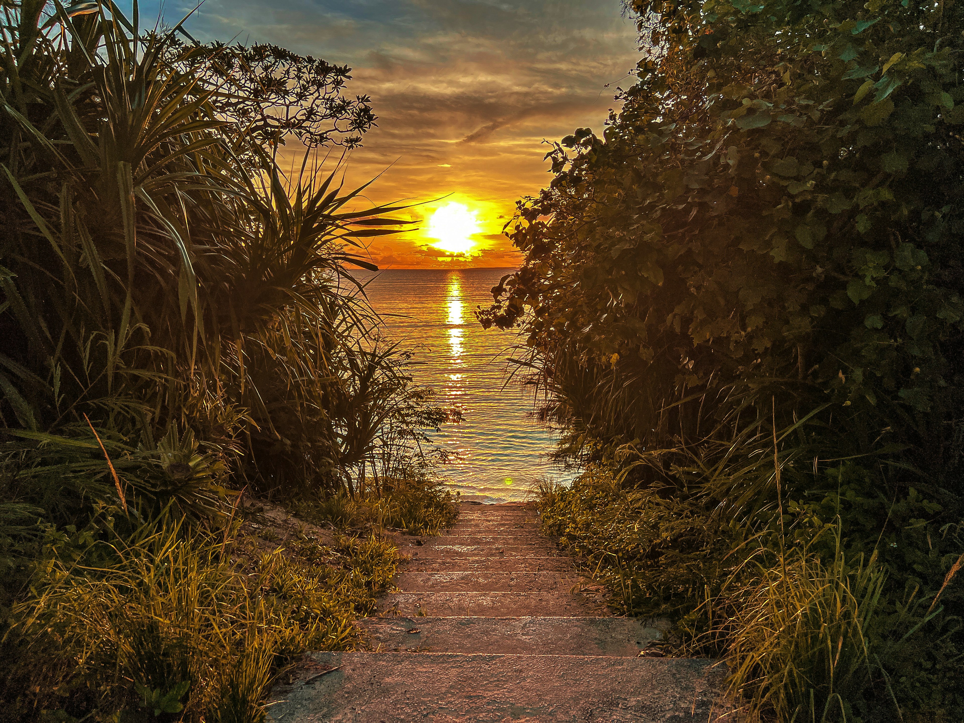 Escaleras de piedra que llevan al mar con una puesta de sol y vegetación exuberante