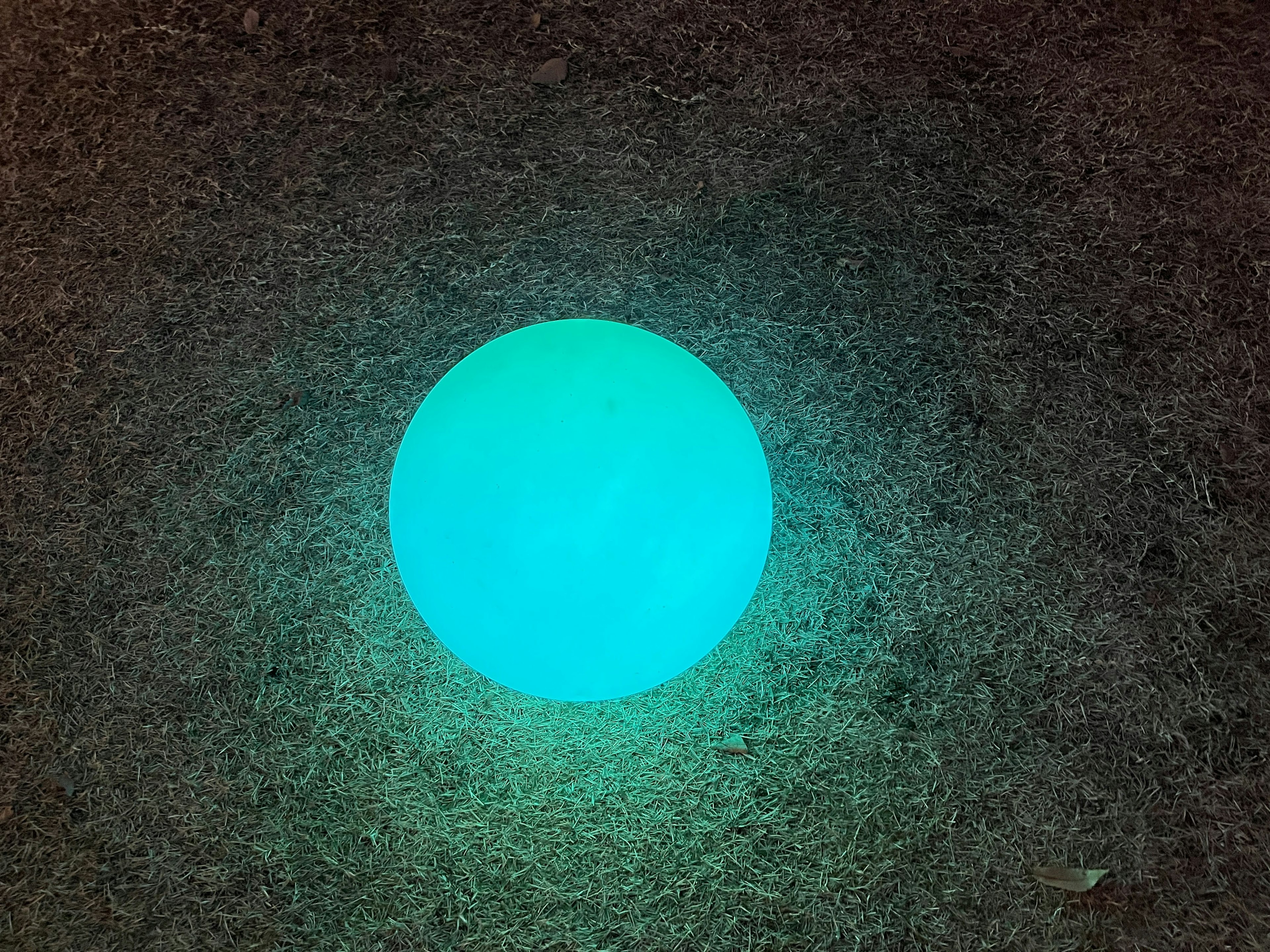 Une sphère bleue lumineuse posée sur de l'herbe