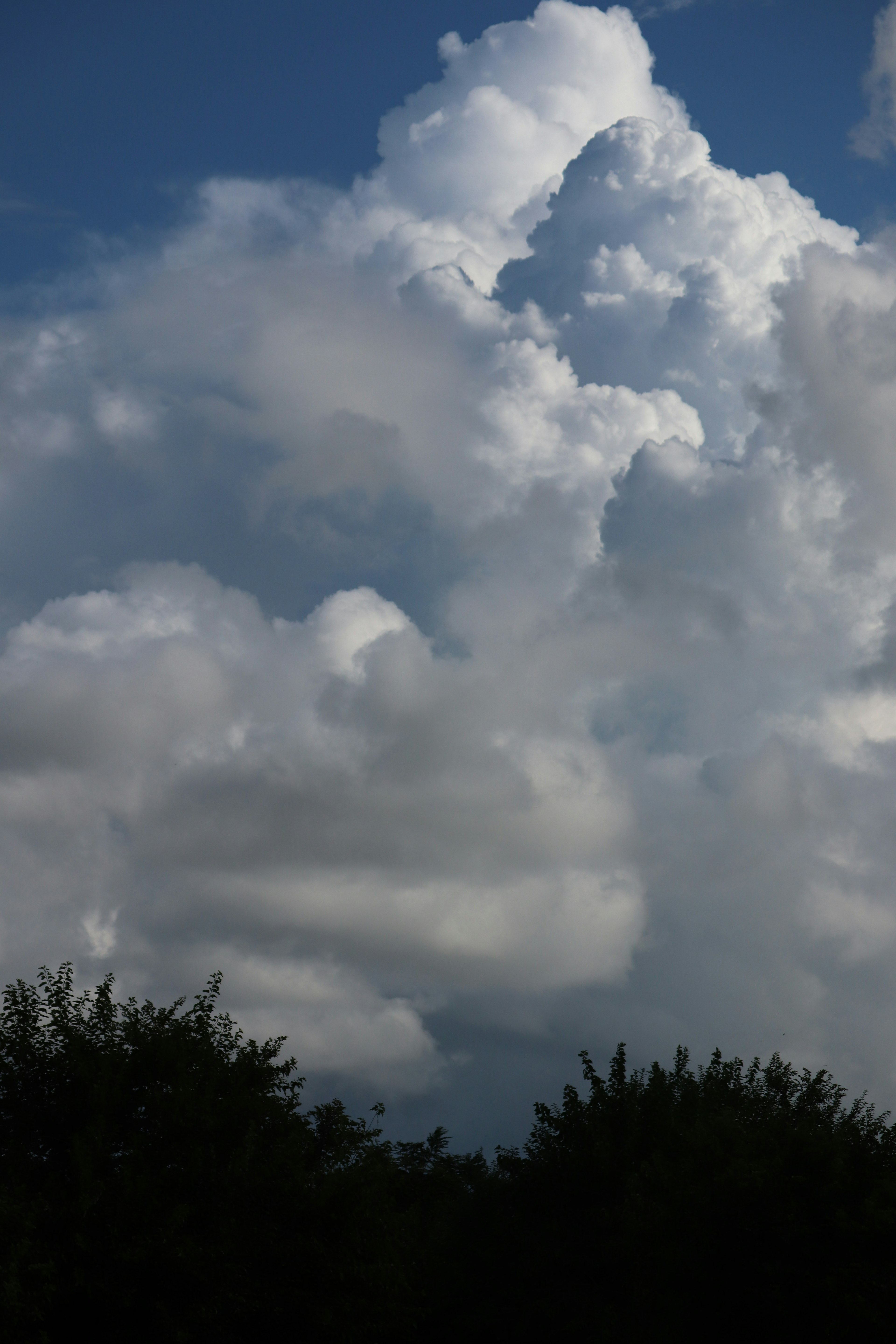 Awan putih berbulu lembut di langit biru