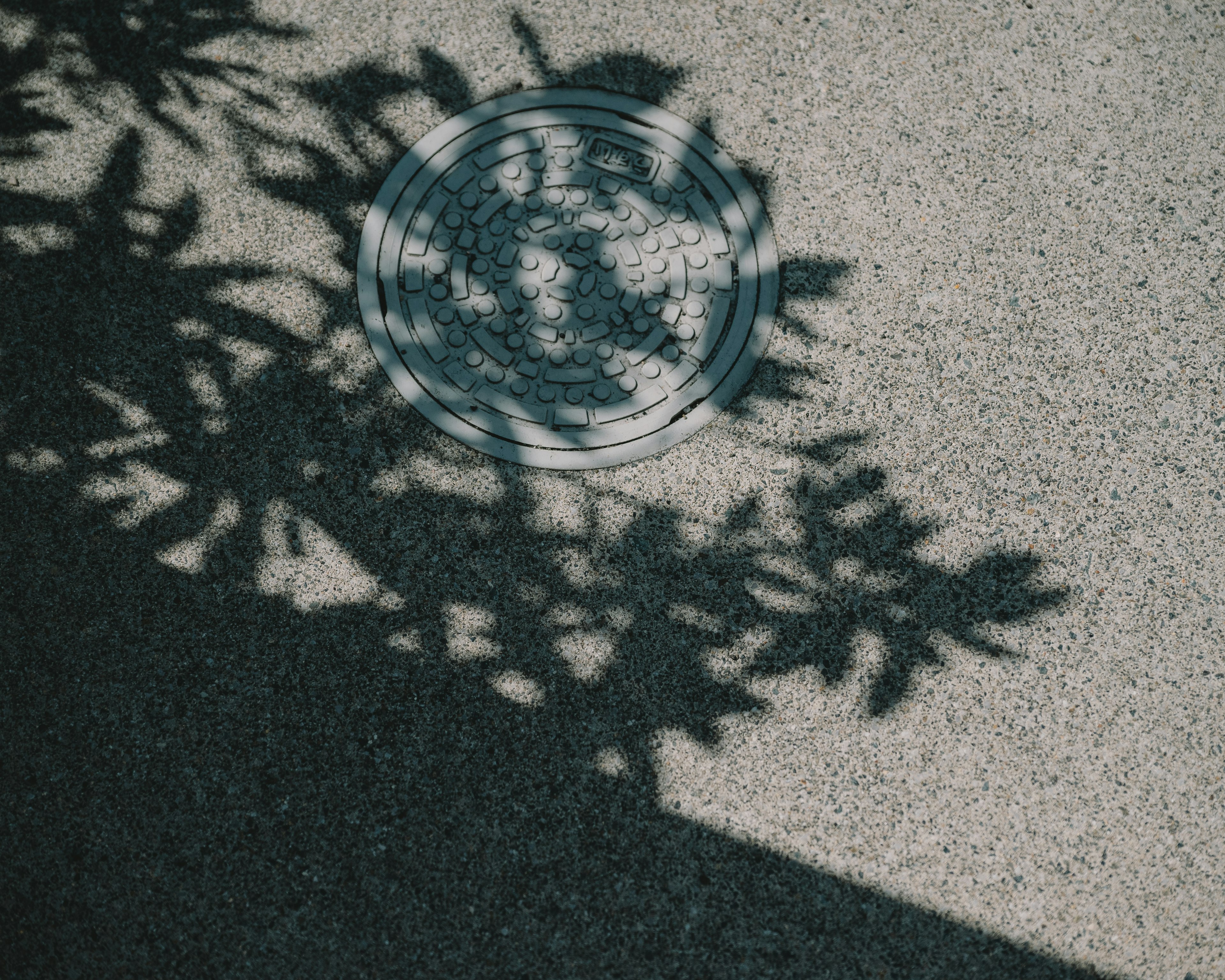 Ombres de feuilles sur le sol en béton avec une bouche d'égout