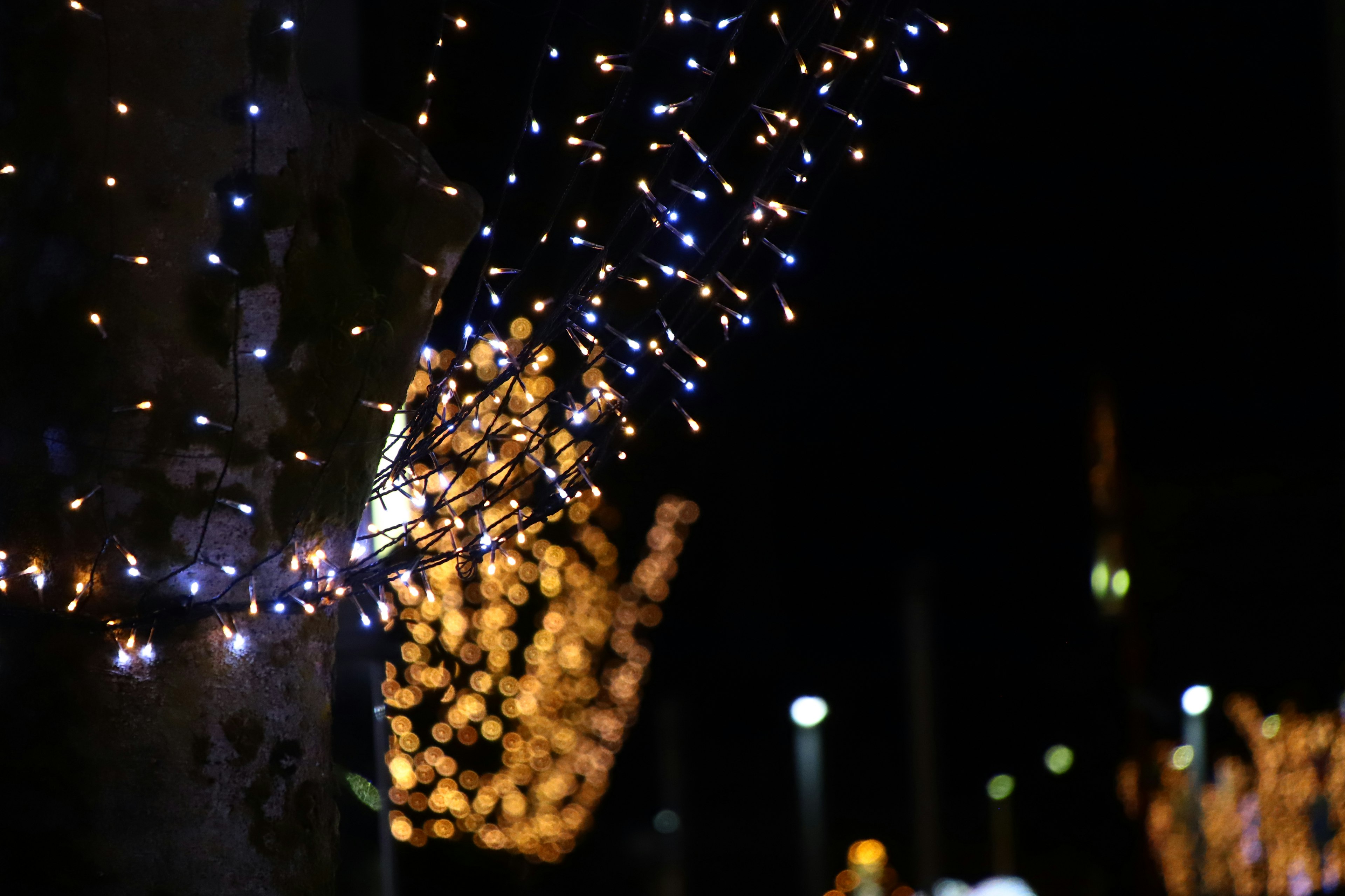 Blaue und orangefarbene Lichter, die nachts um Bäume gewickelt sind