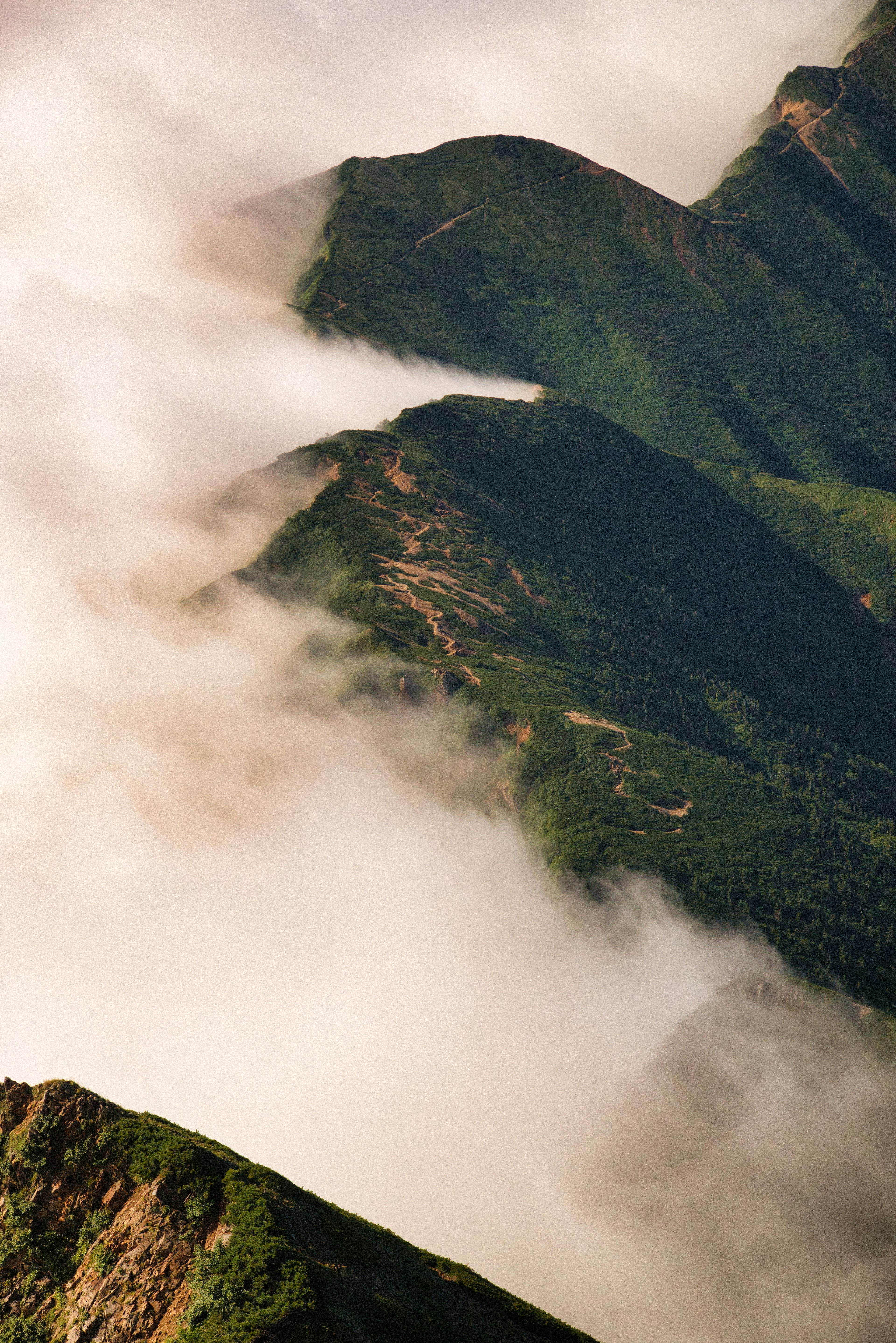 Landscape of green mountains enveloped in mist