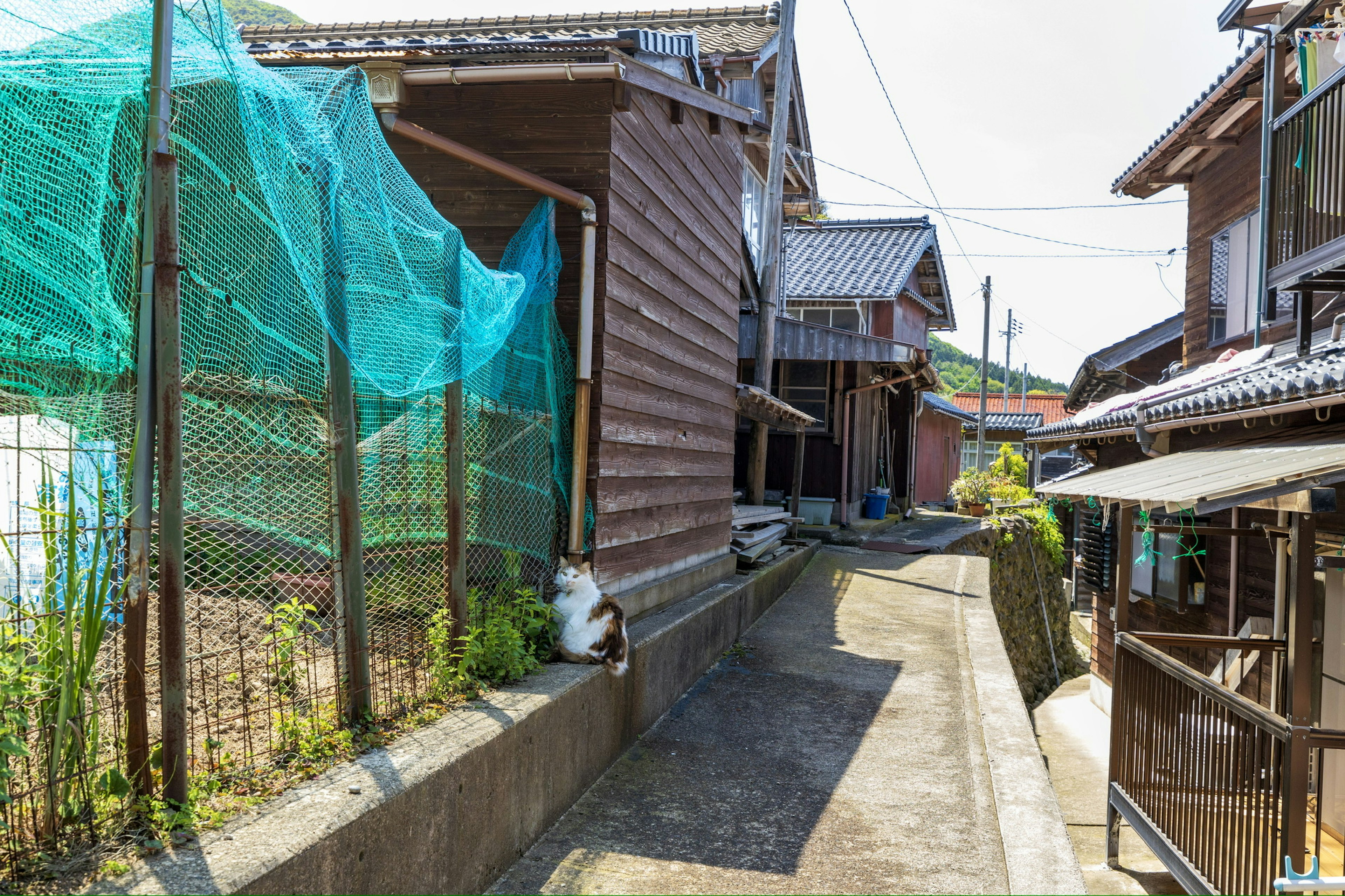 Jalan sempit yang dikelilingi oleh rumah-rumah tradisional Jepang dan jaring hijau