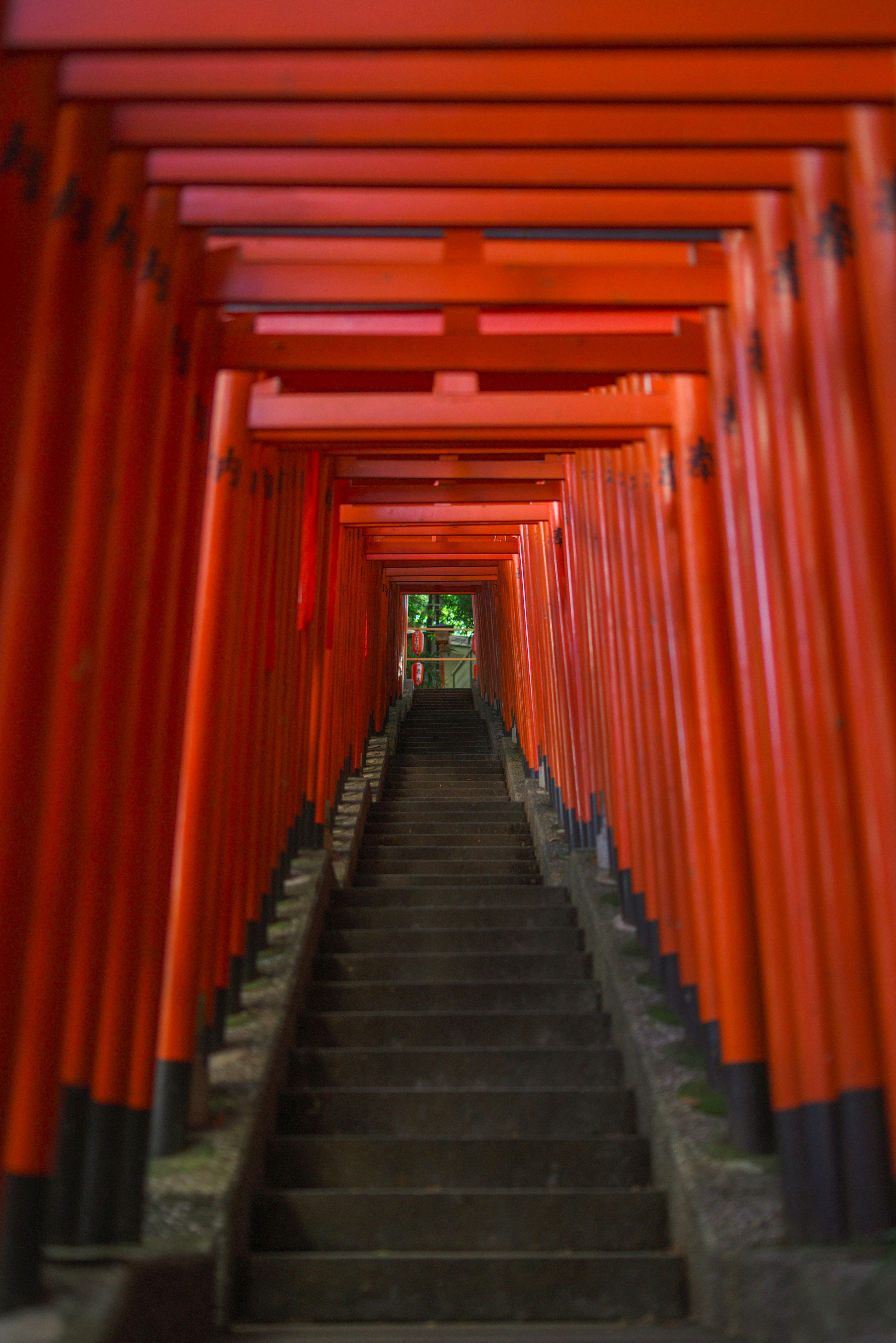 A pathway of red torii gates leading up a stone staircase