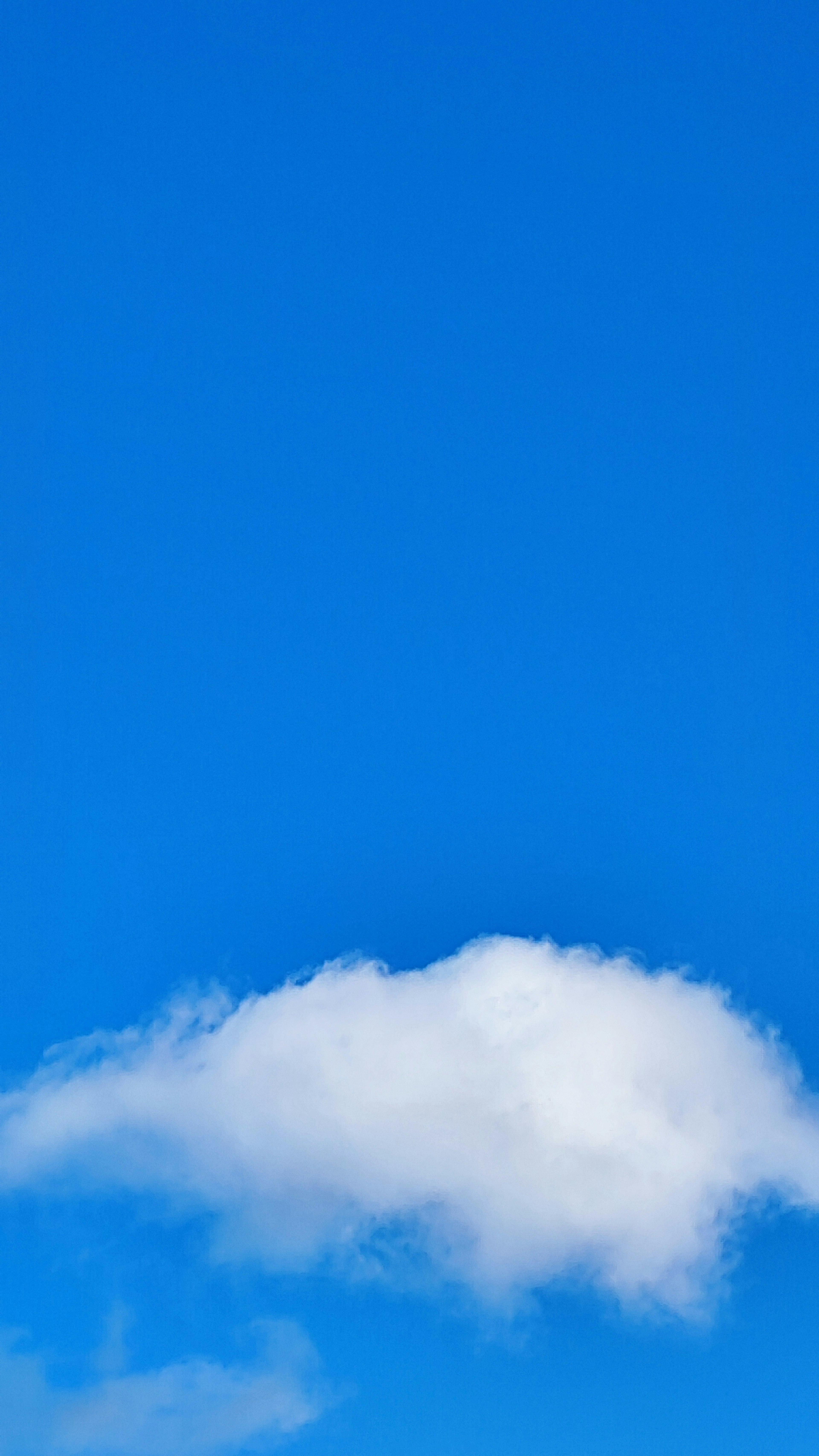 White cloud floating in a clear blue sky