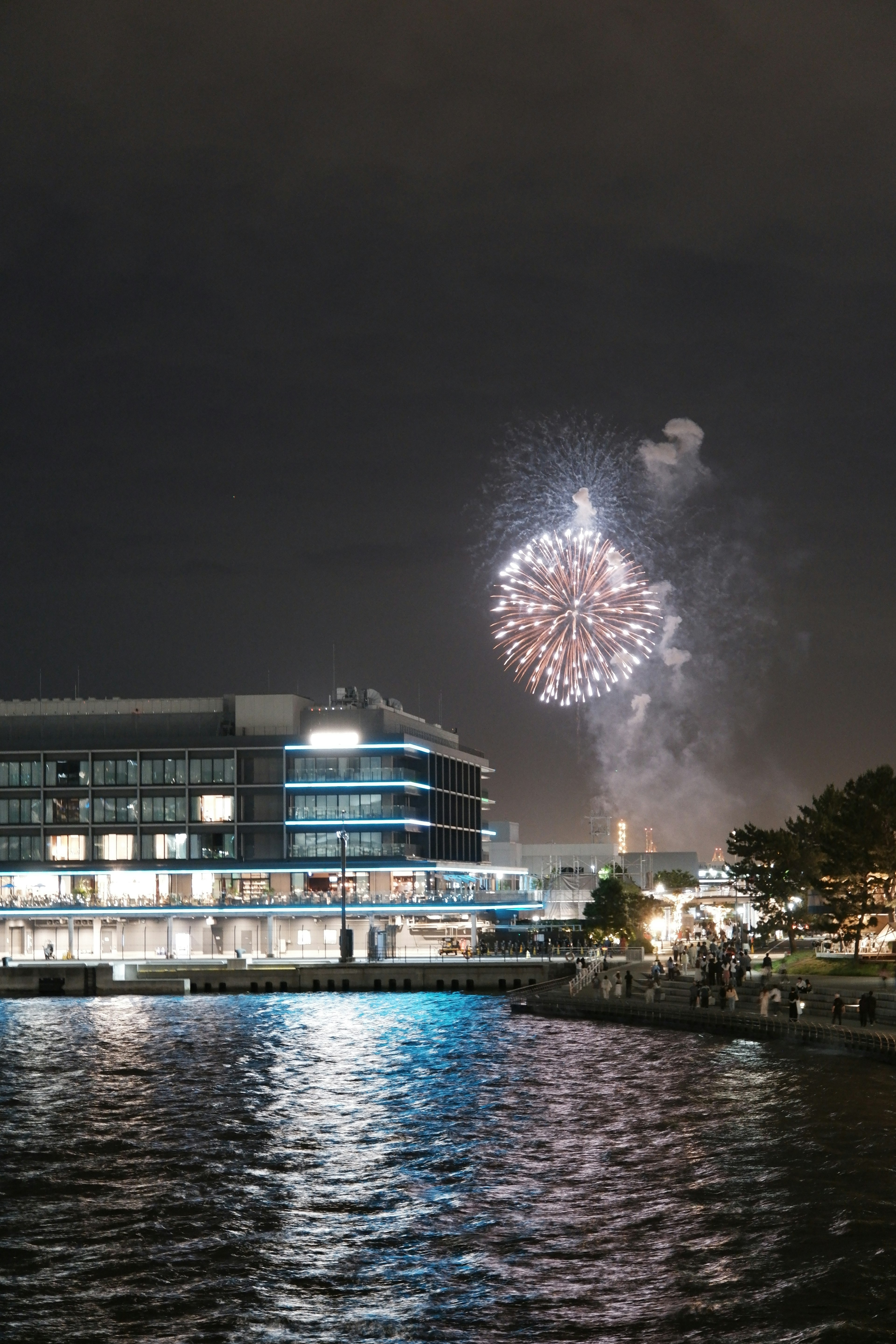 Des feux d'artifice éclatent dans le ciel nocturne au-dessus d'un bâtiment au bord de l'eau