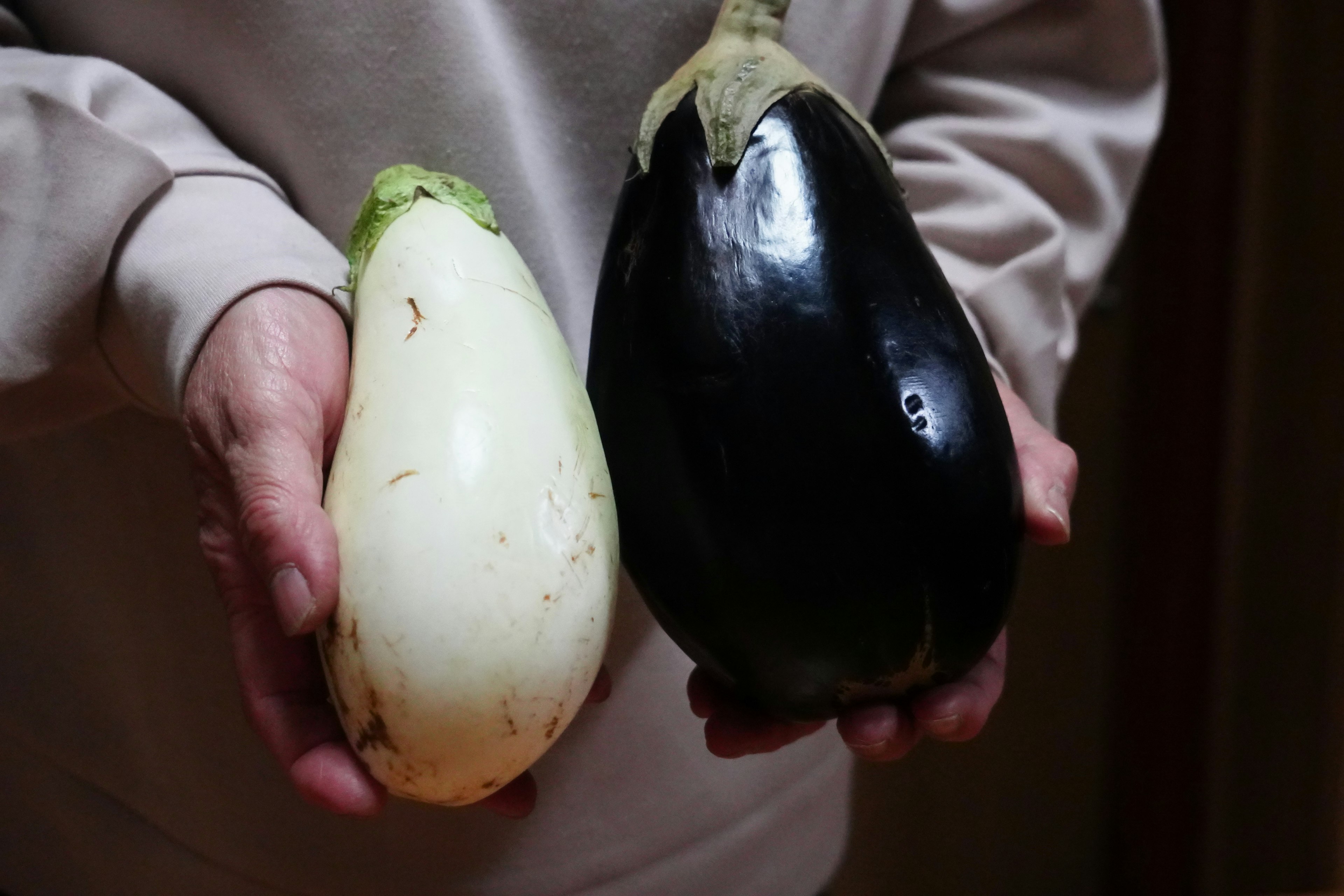 Person holding white and black eggplants