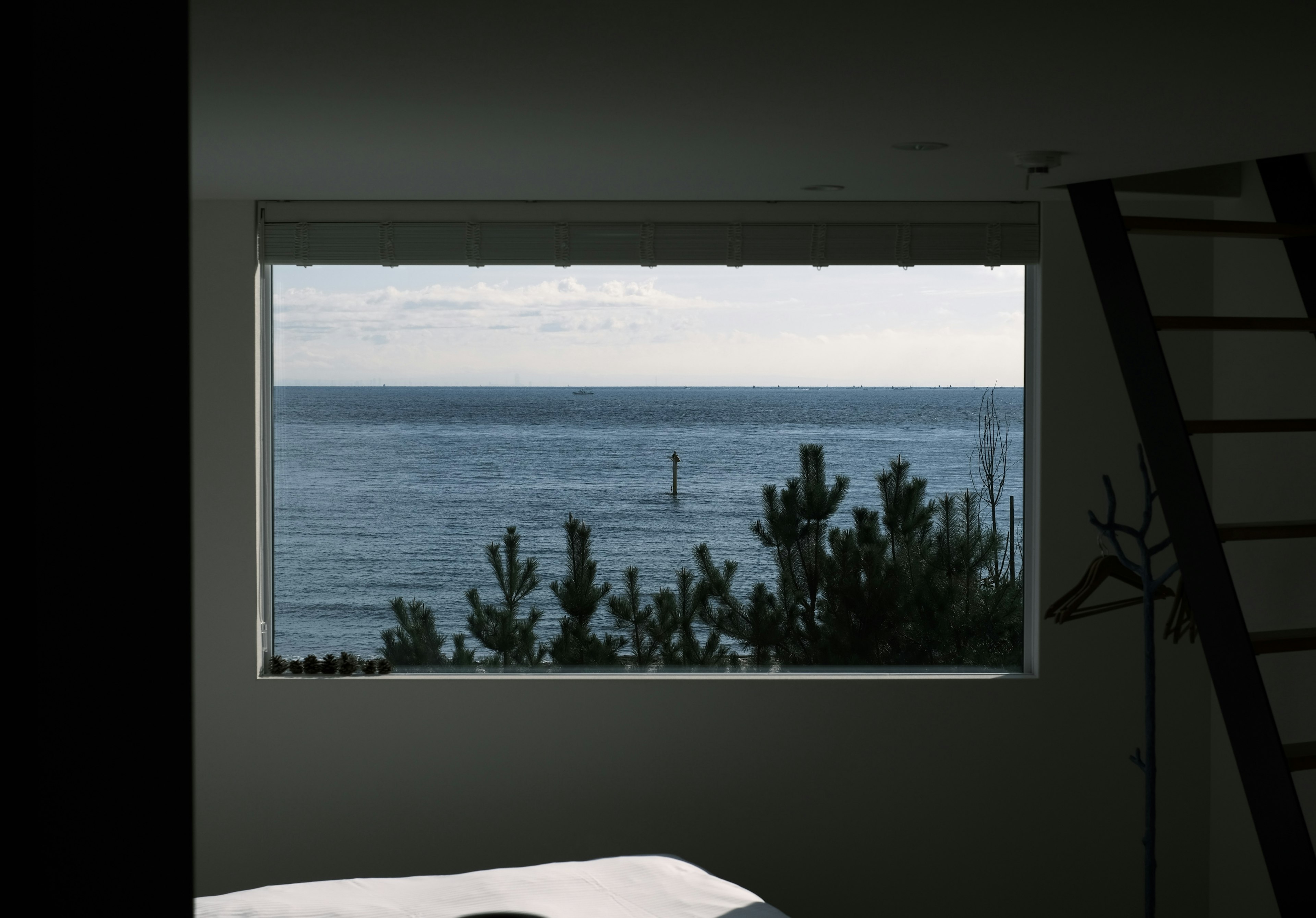 Blick auf das Meer und Pflanzen durch ein Fenster