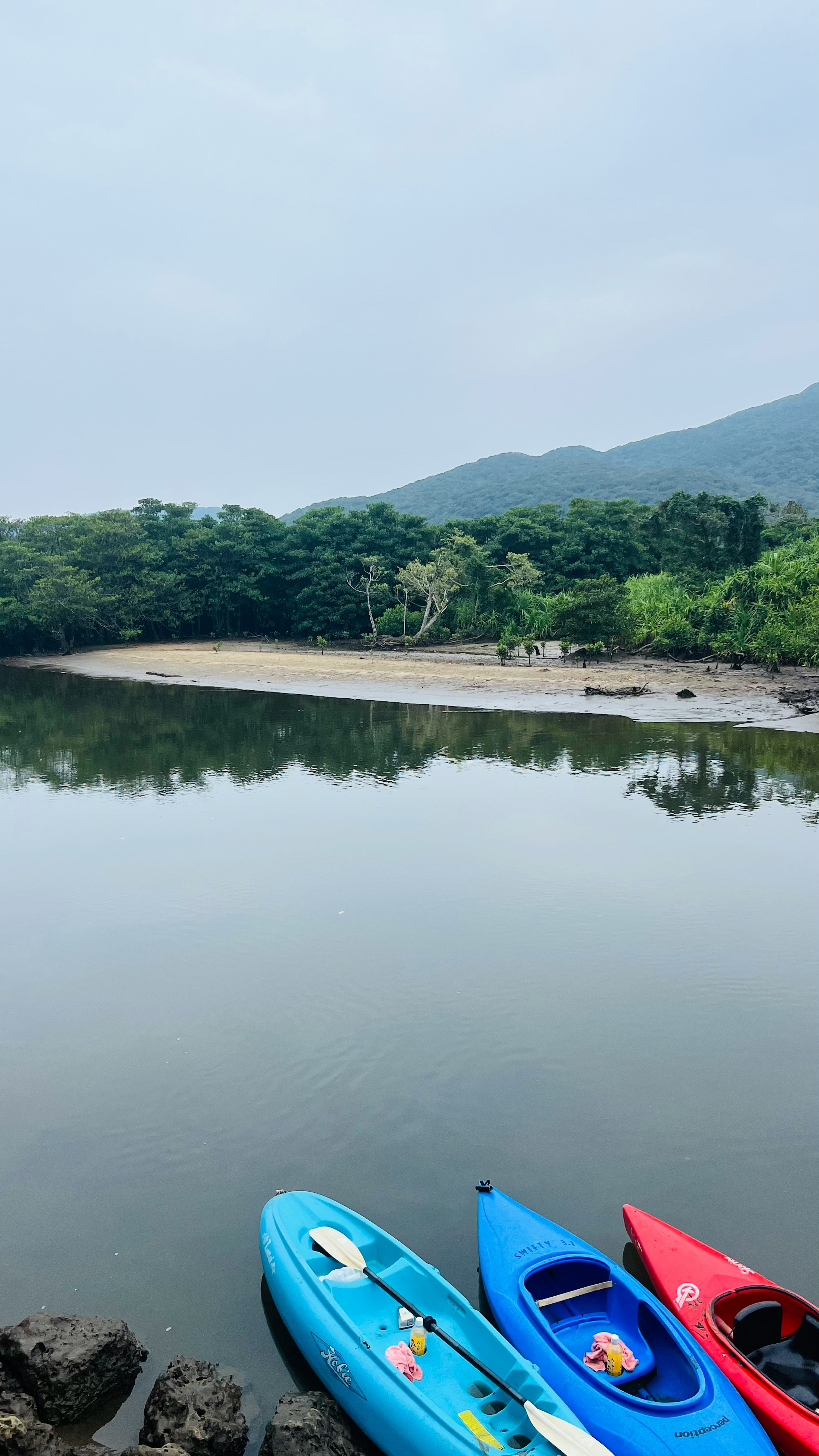 青いカヤックと赤いカヤックが静かな水辺に浮かぶ緑の風景