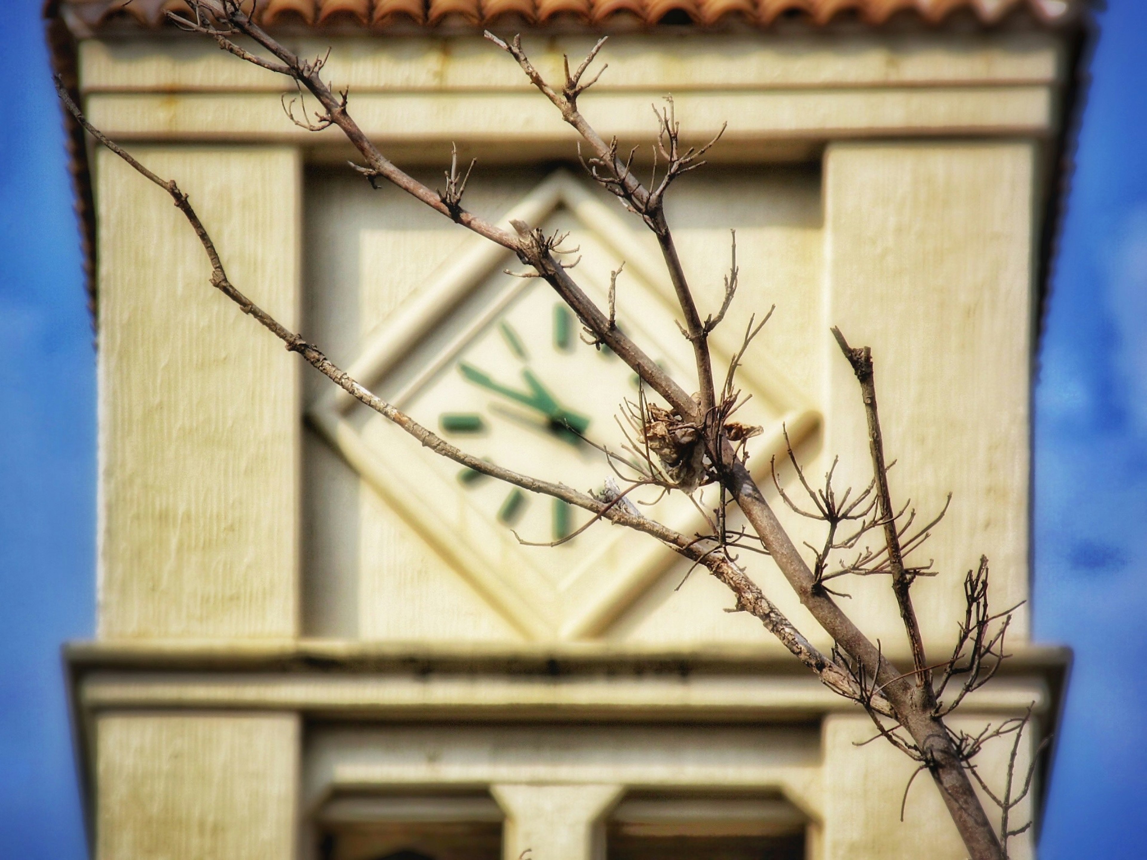 Close-up of a clock tower with a dried branch in front showing green clock hands