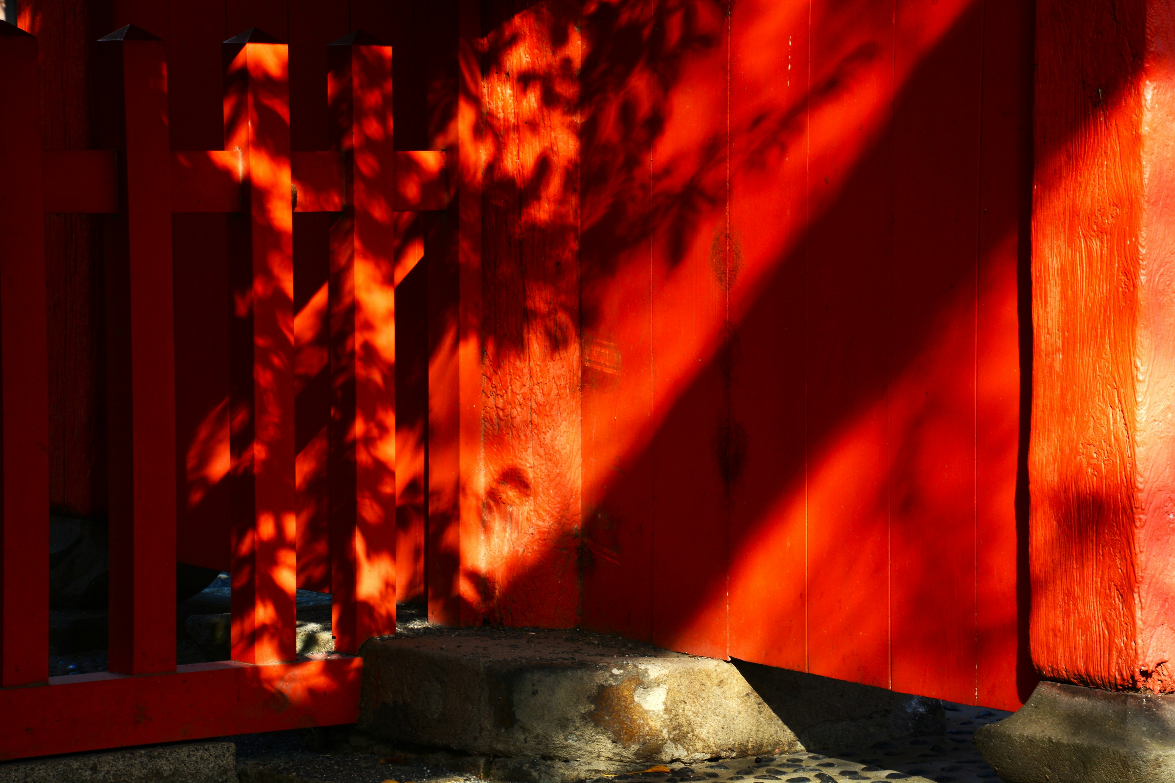 Una scena bella con ombre proiettate su un muro rosso