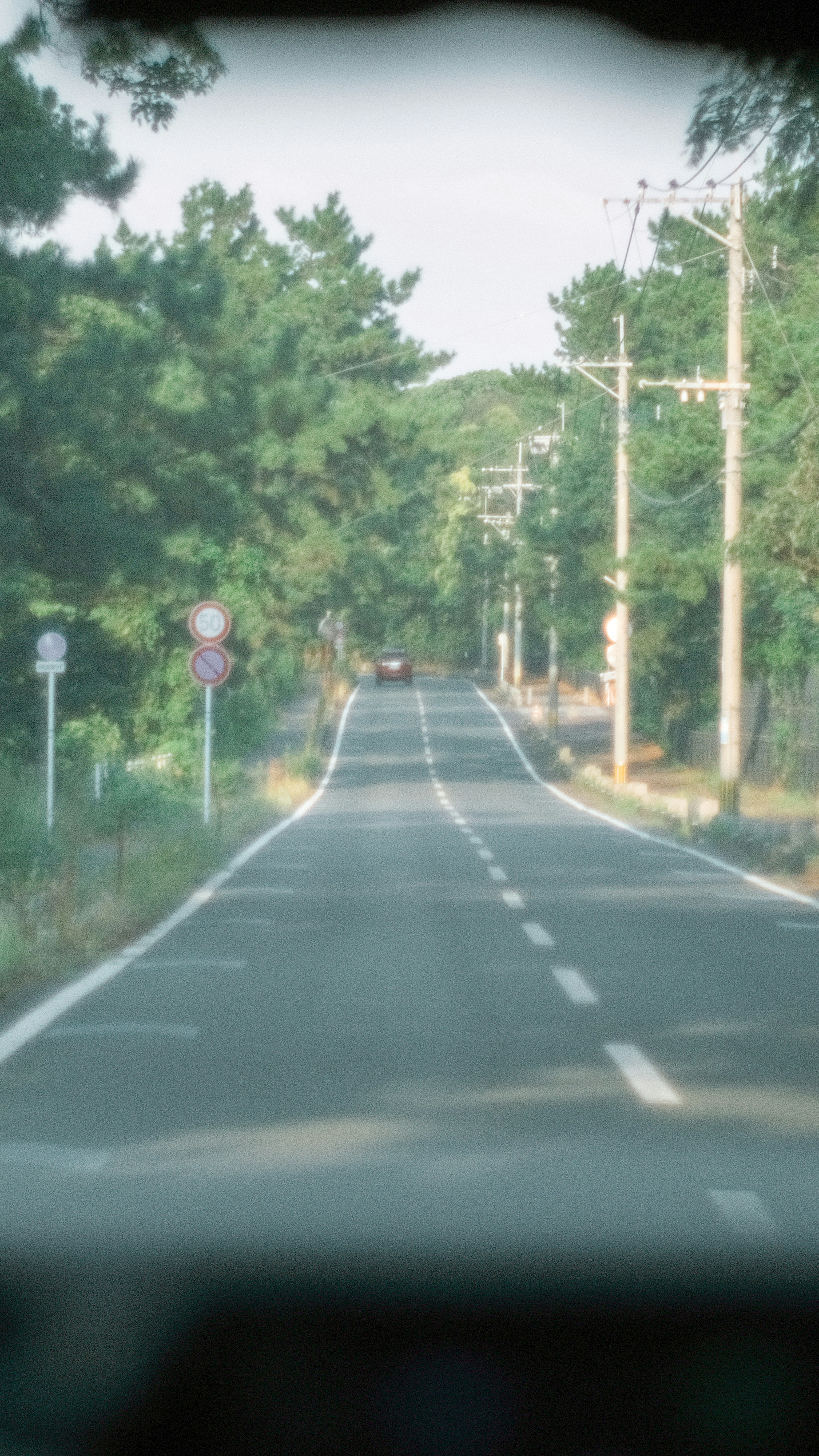 Eine gerade Straße, umgeben von grünen Bäumen mit Verkehrsschildern