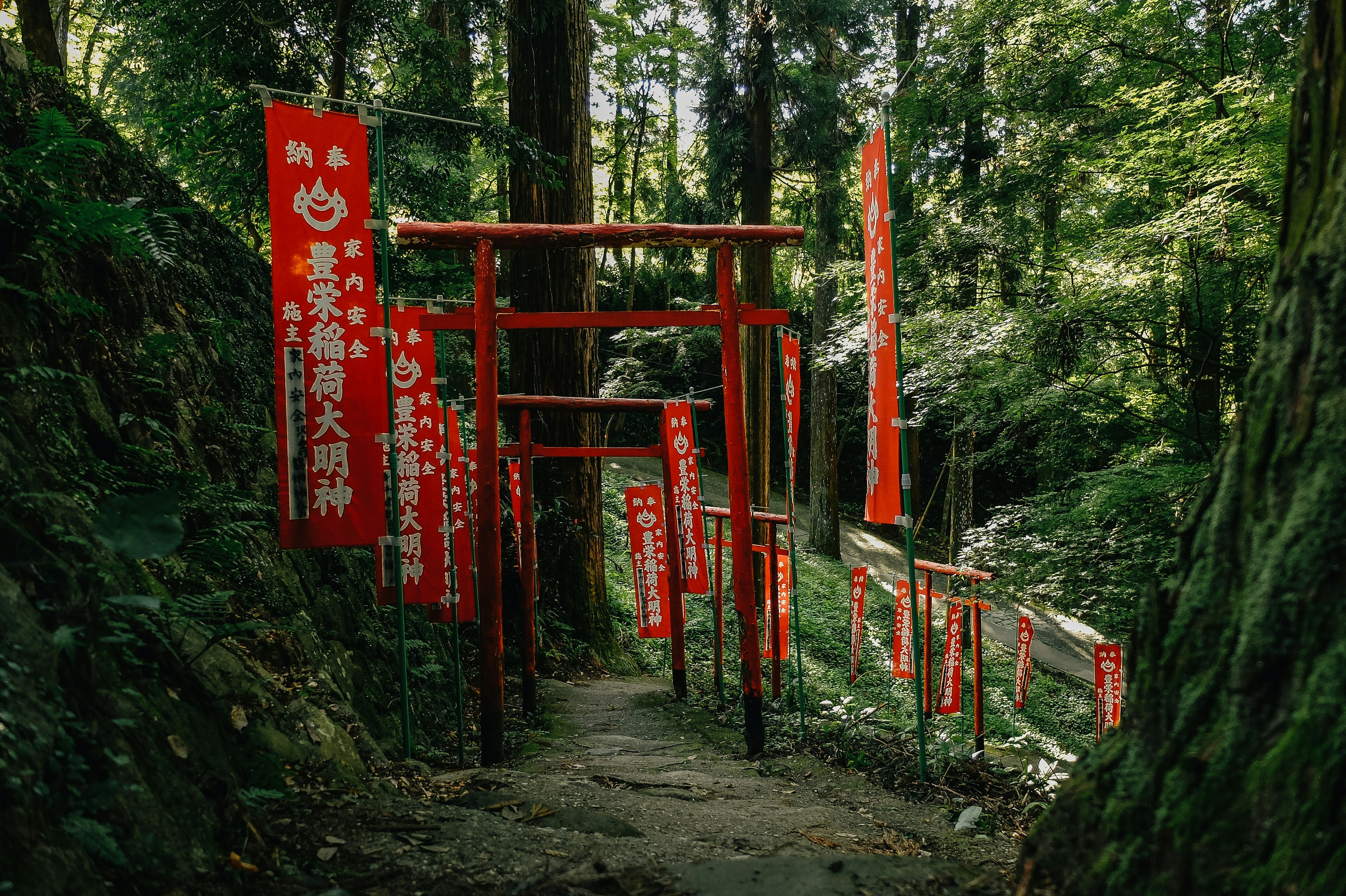 Sendero en un bosque frondoso con torii rojos y pancartas