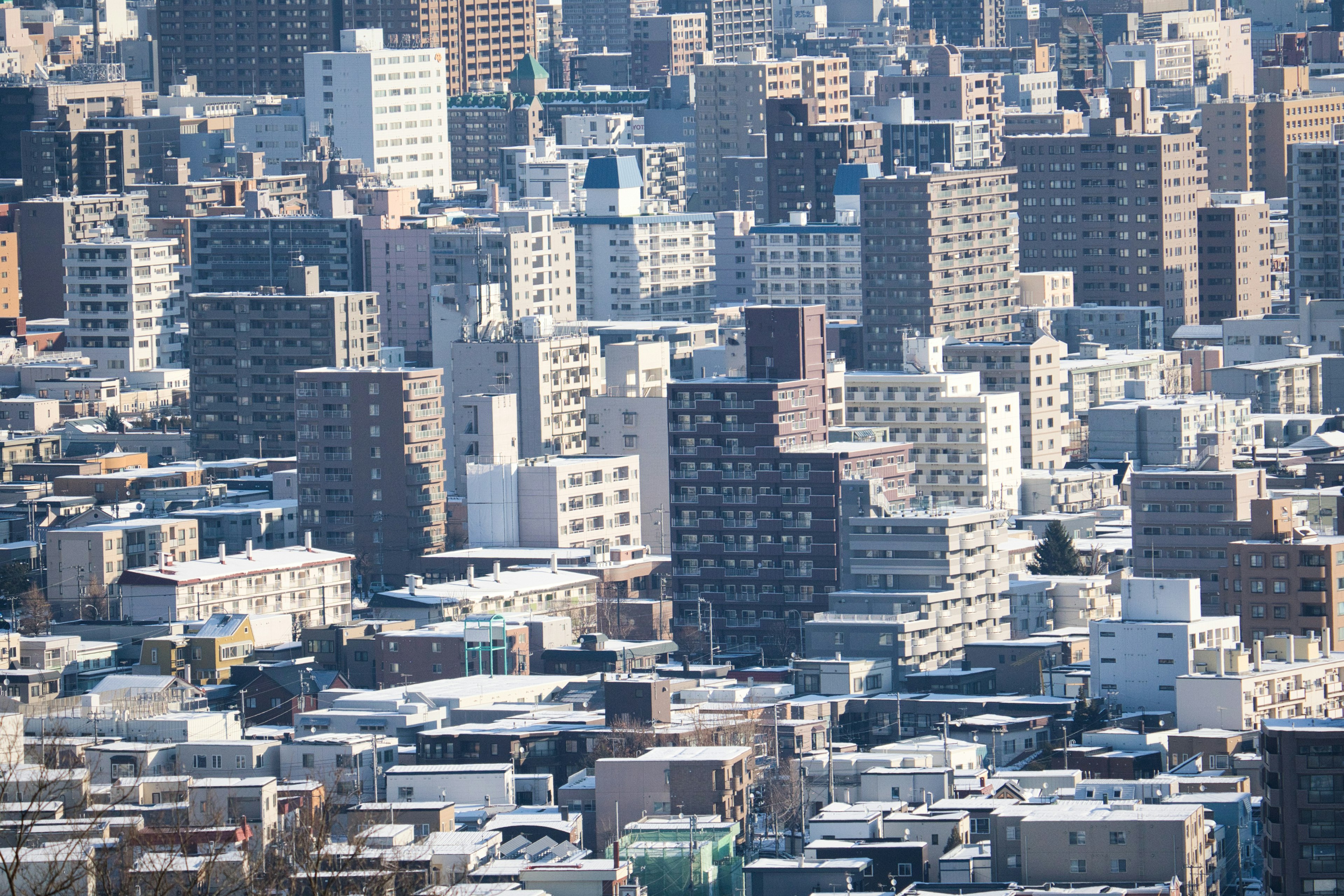 Close-up of a city skyline featuring high-rise buildings covered in snow