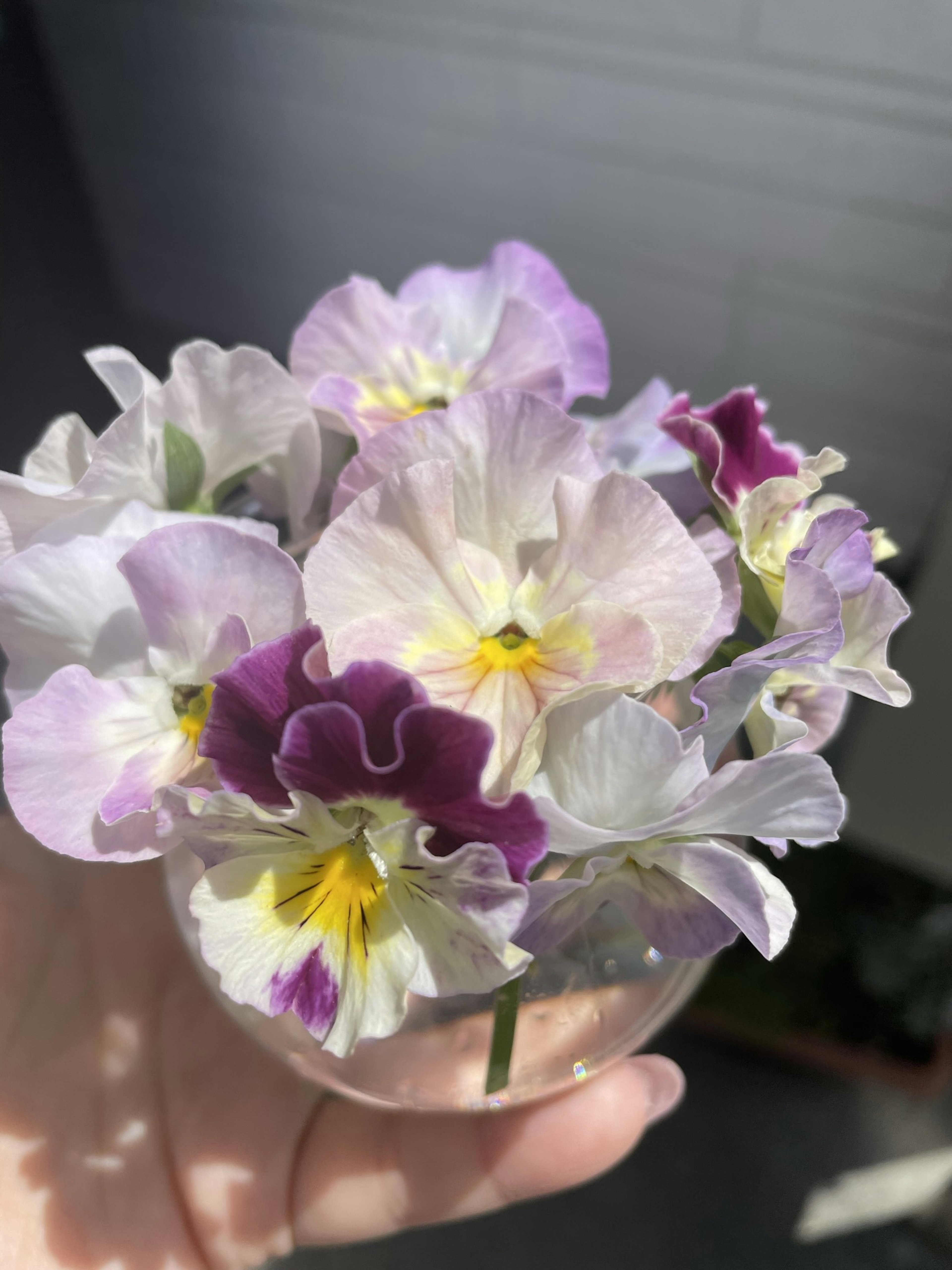 Un bouquet di fiori viola in un contenitore di vetro trasparente