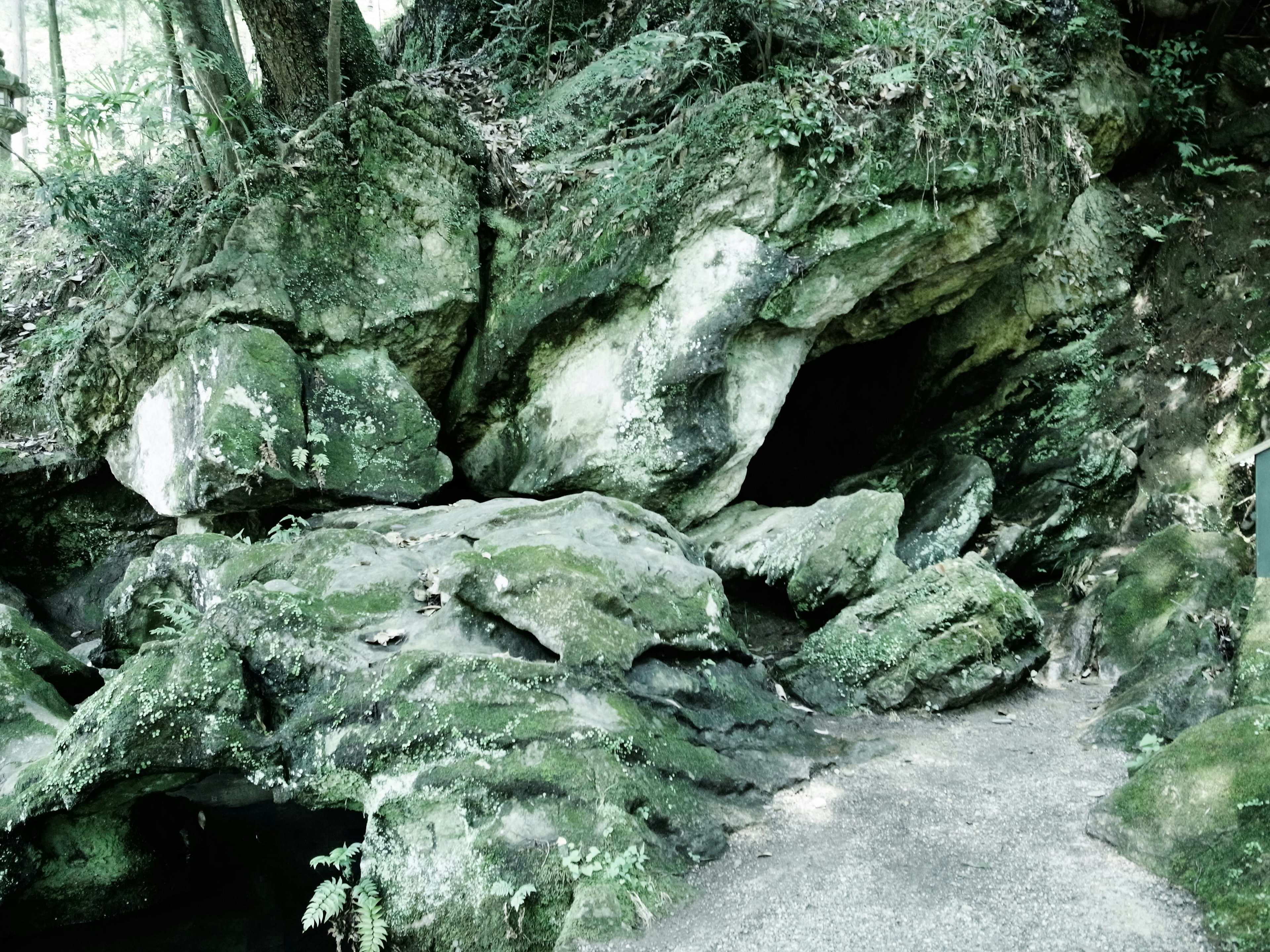 Landschaftsansicht mit moosbedeckten Felsen und einem Weg