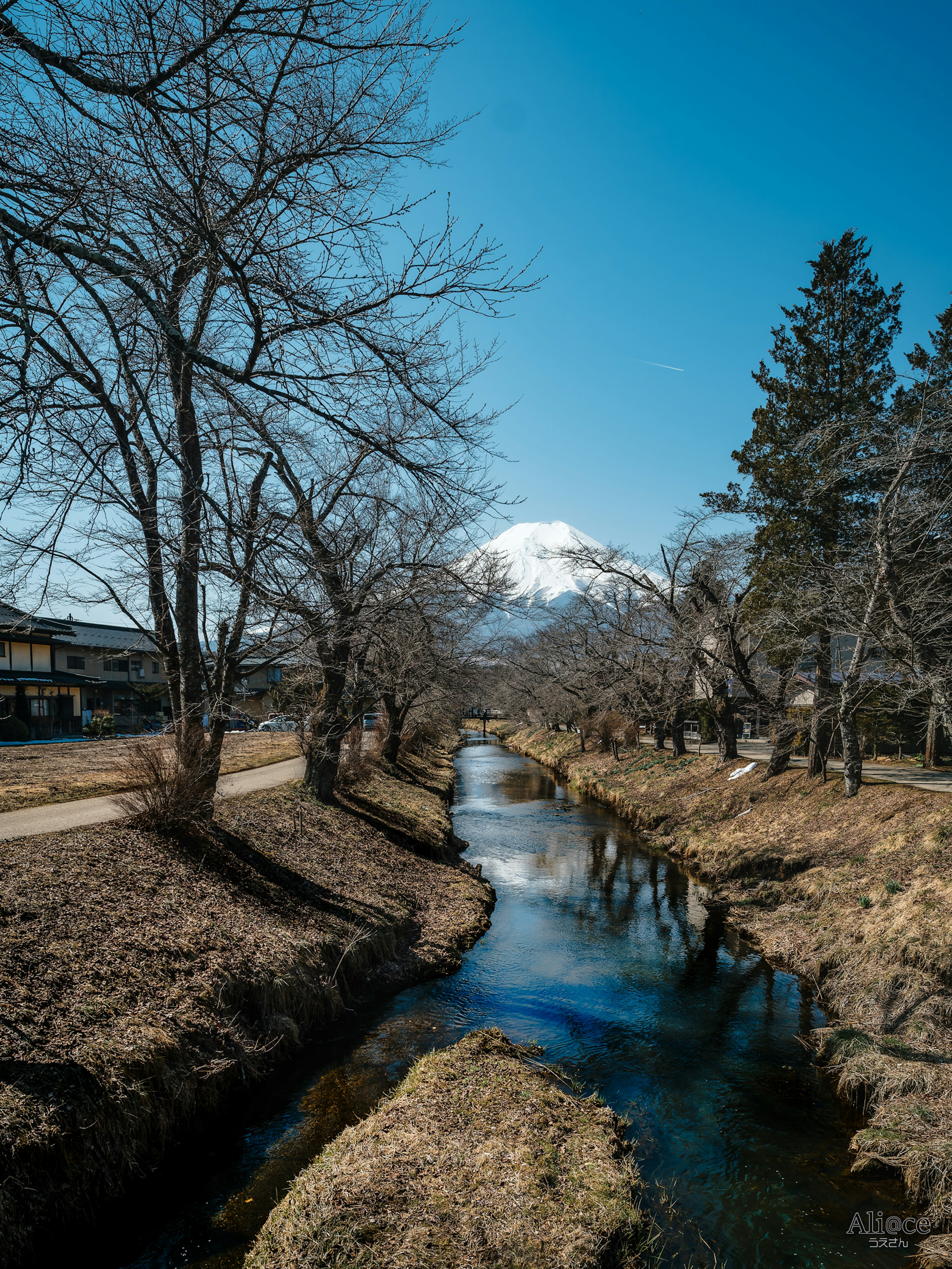 青空の下に雪をかぶった山と川が流れる風景