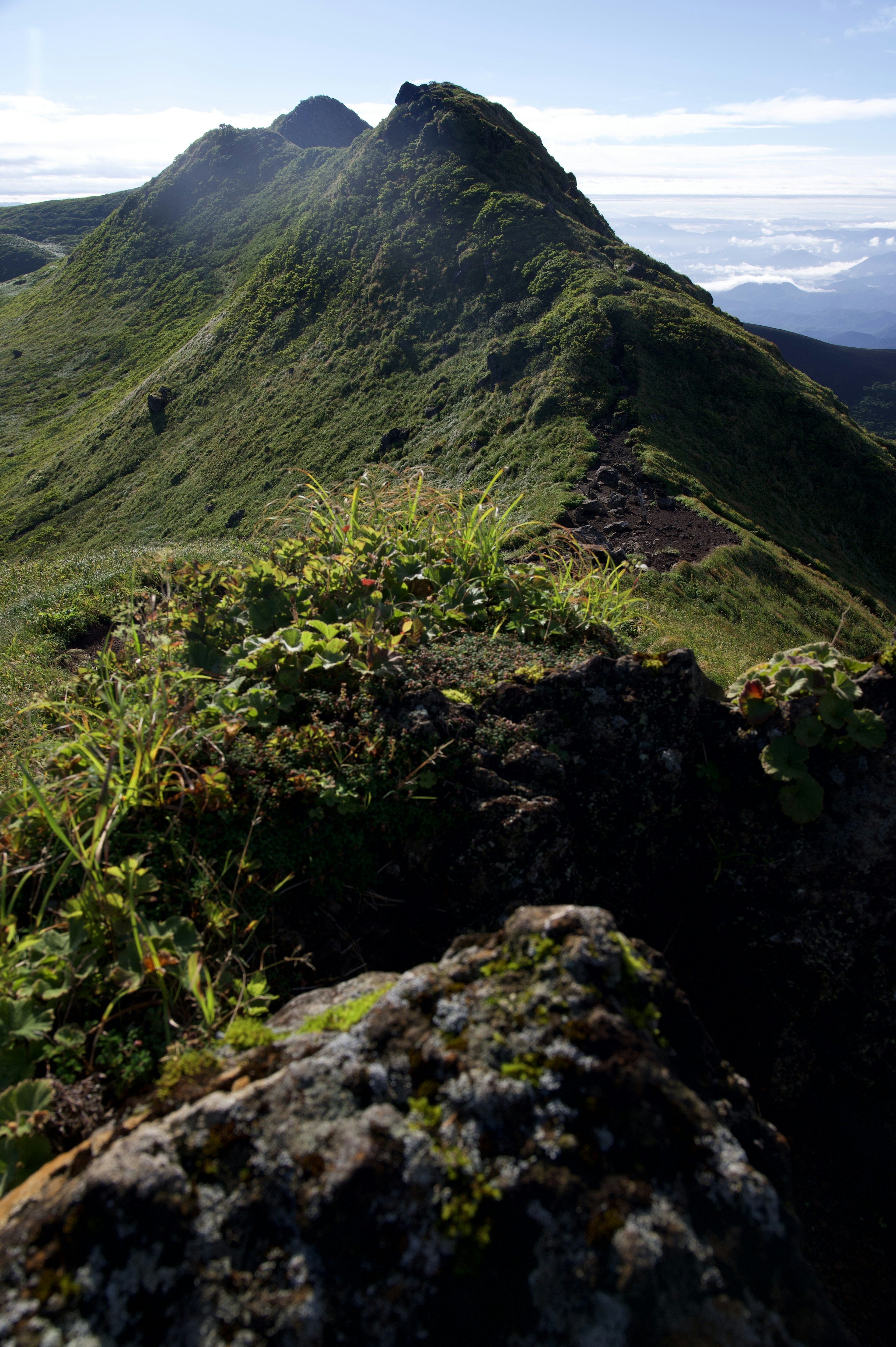 Paysage de montagne verdoyant avec un gros plan sur un terrain rocheux