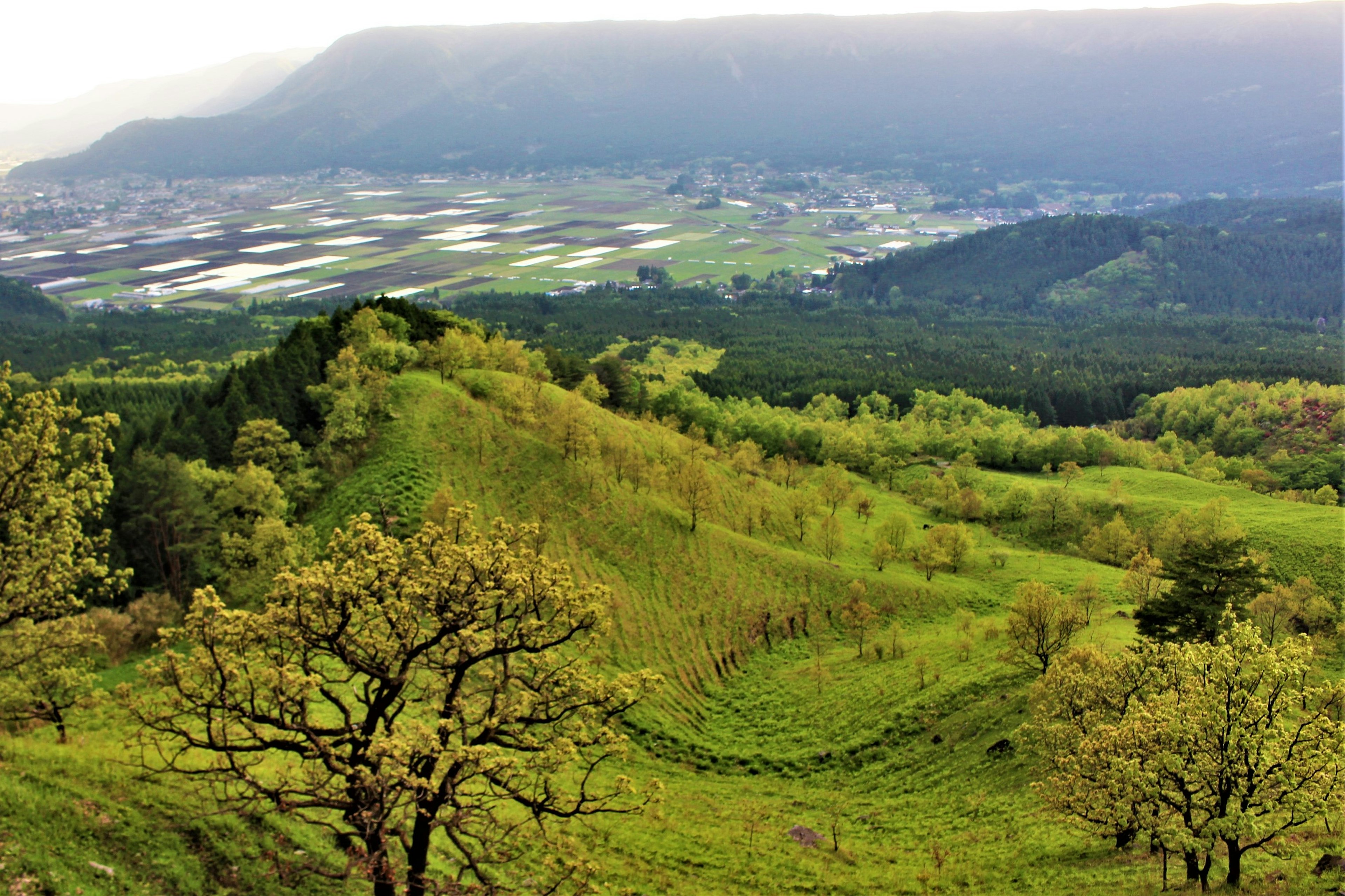 緑豊かな丘陵と谷間の風景が広がる美しい景色