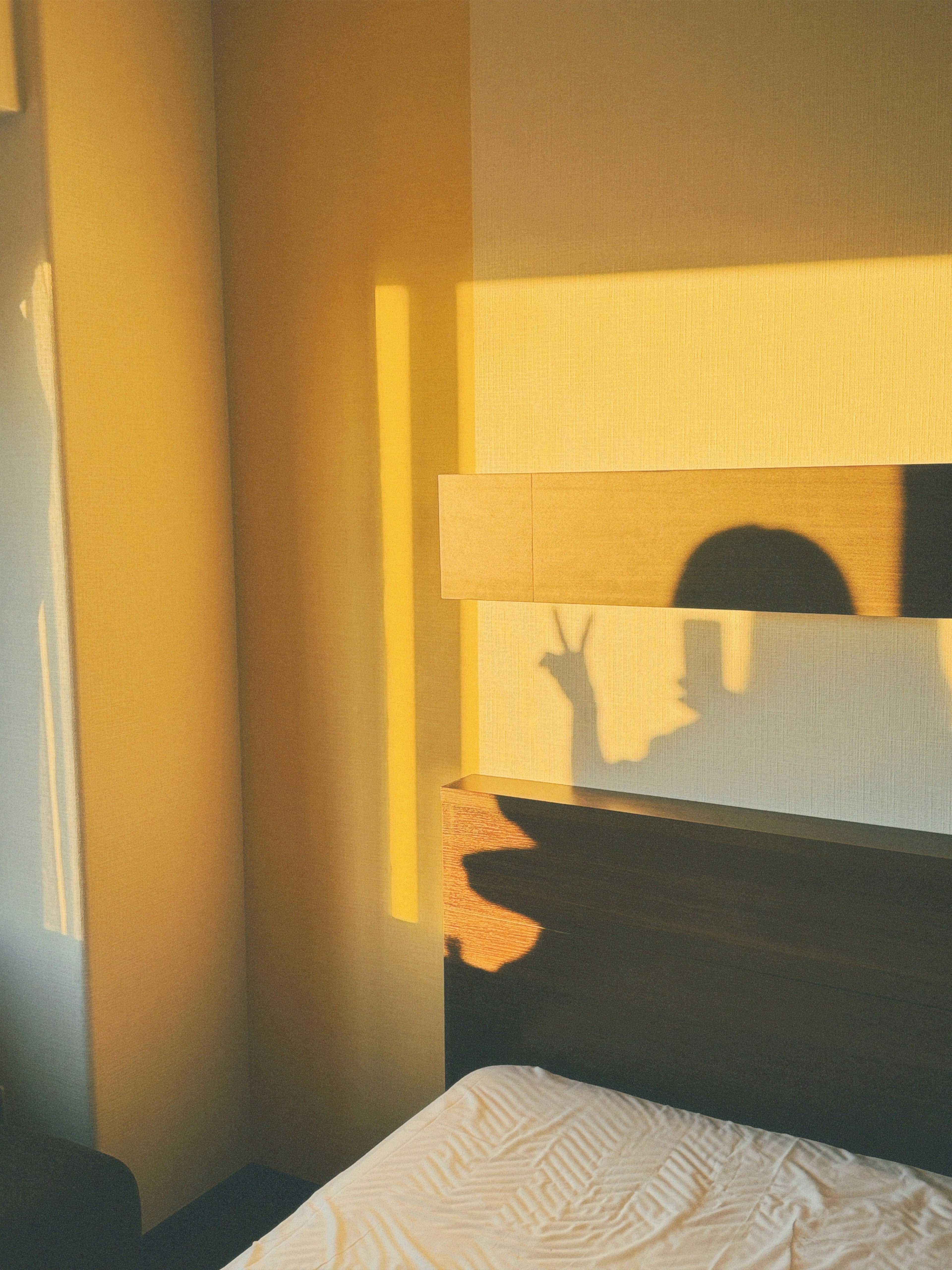 Una habitación acogedora con luz solar proyectando sombras en la cama y la pared