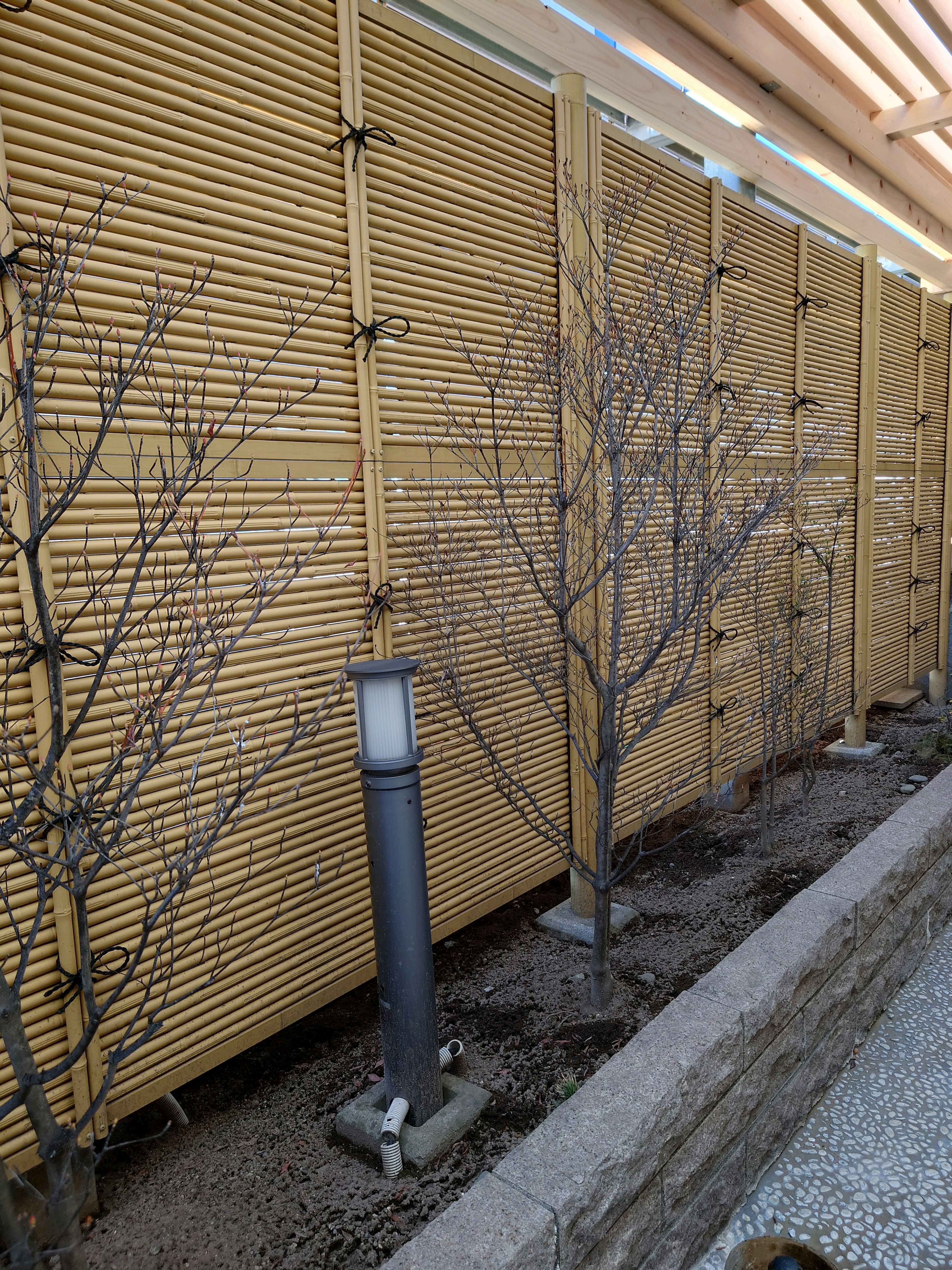 Jardín de invierno con árboles desnudos y cerca de madera