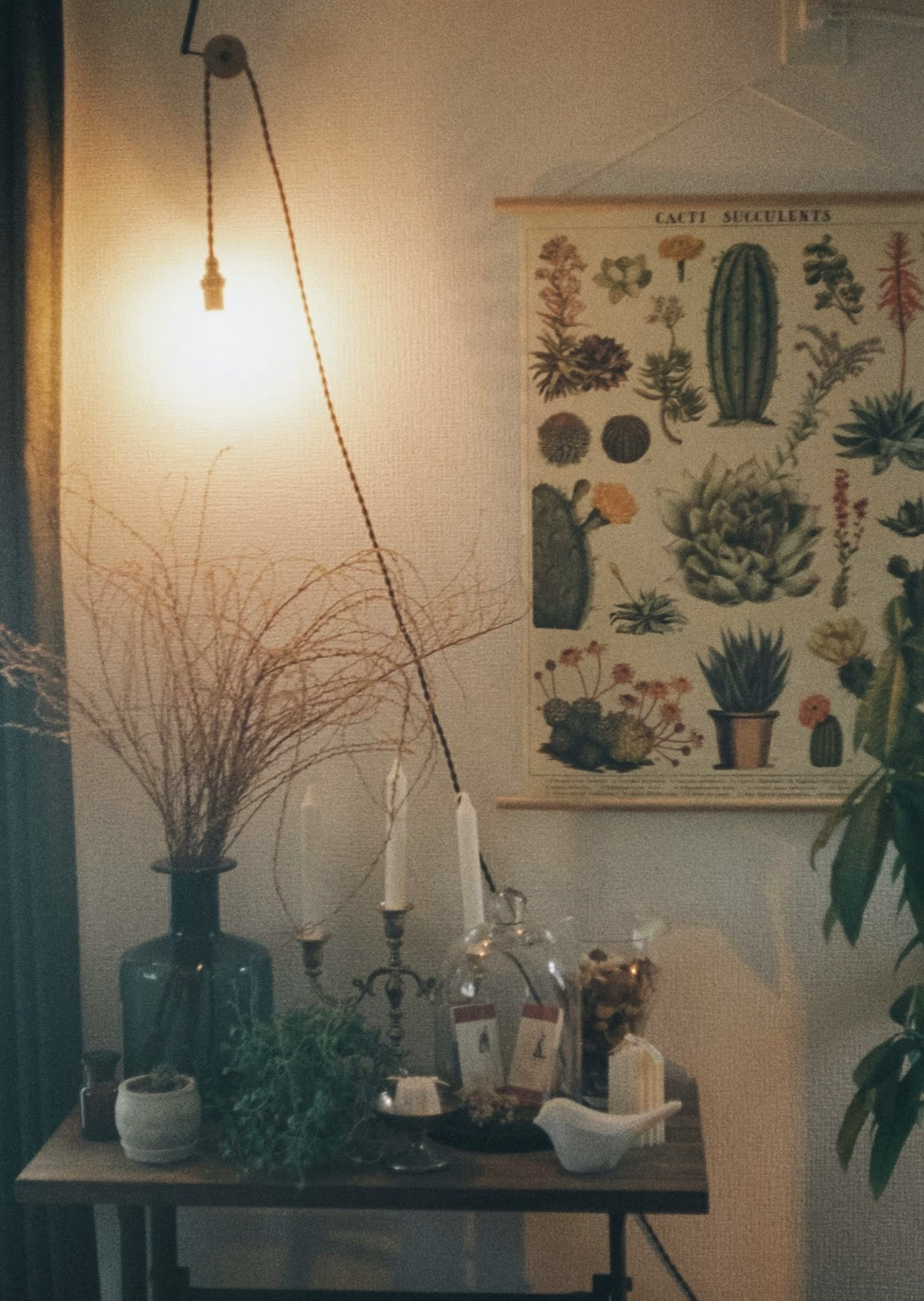 Artistic interior with bottles and candles on a wooden table