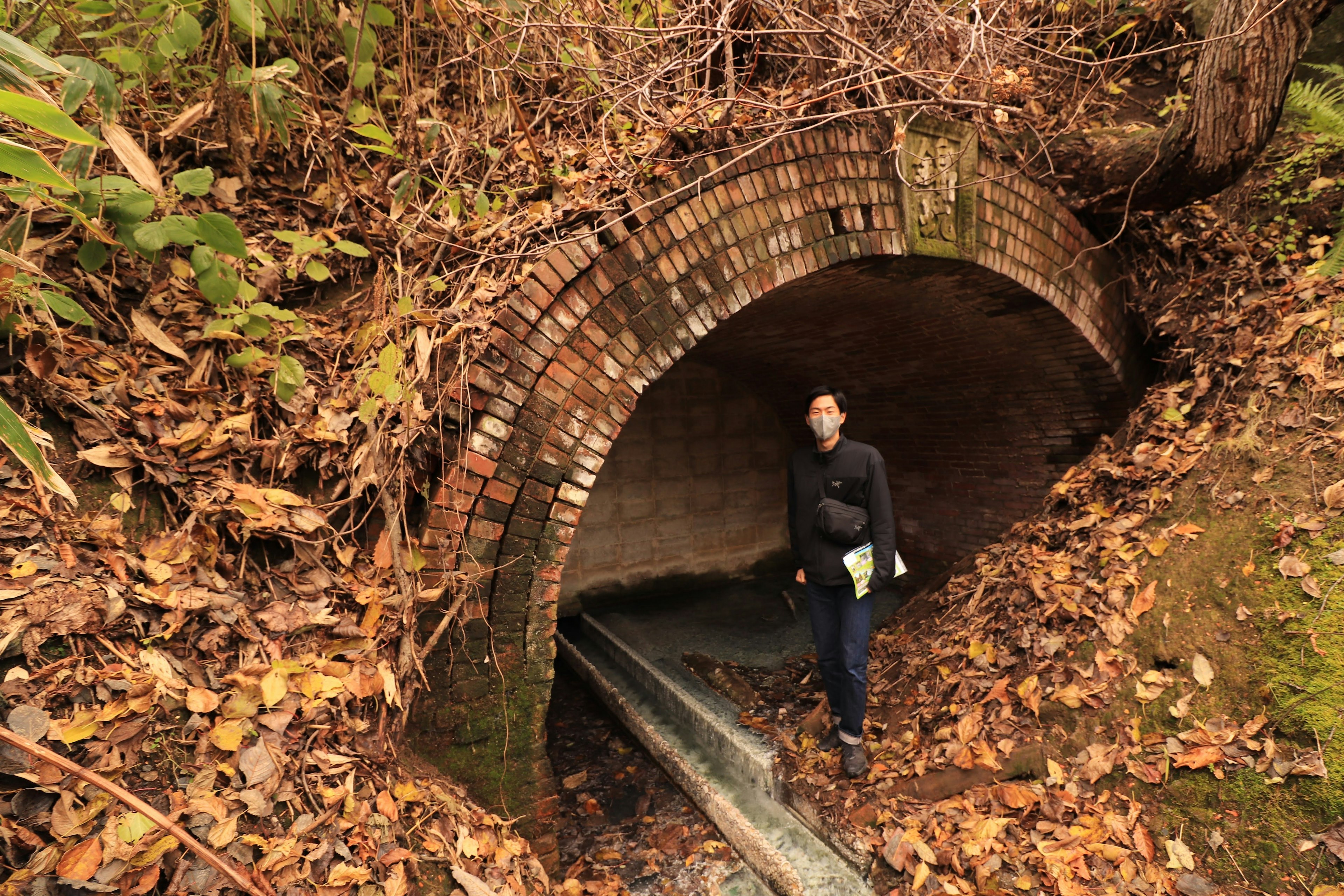 Persona de pie frente a un antiguo túnel de ladrillo rodeado de hojas de otoño