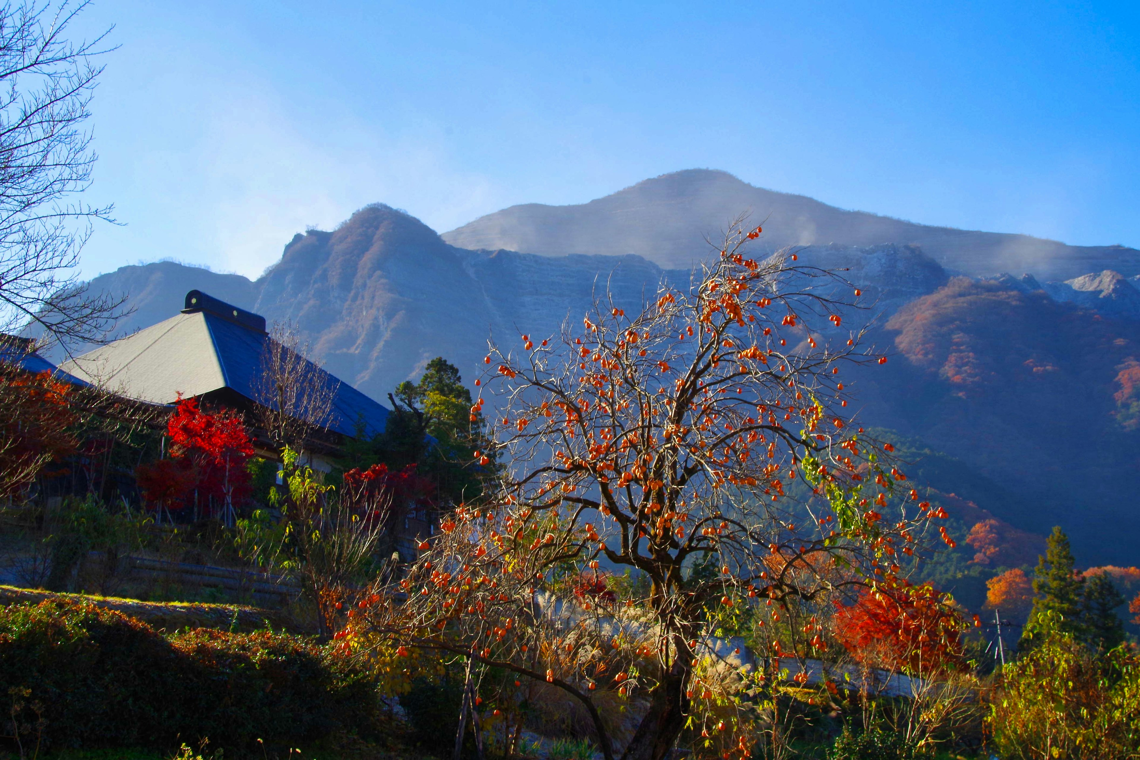 Scenic view of mountains under blue sky with autumn foliage