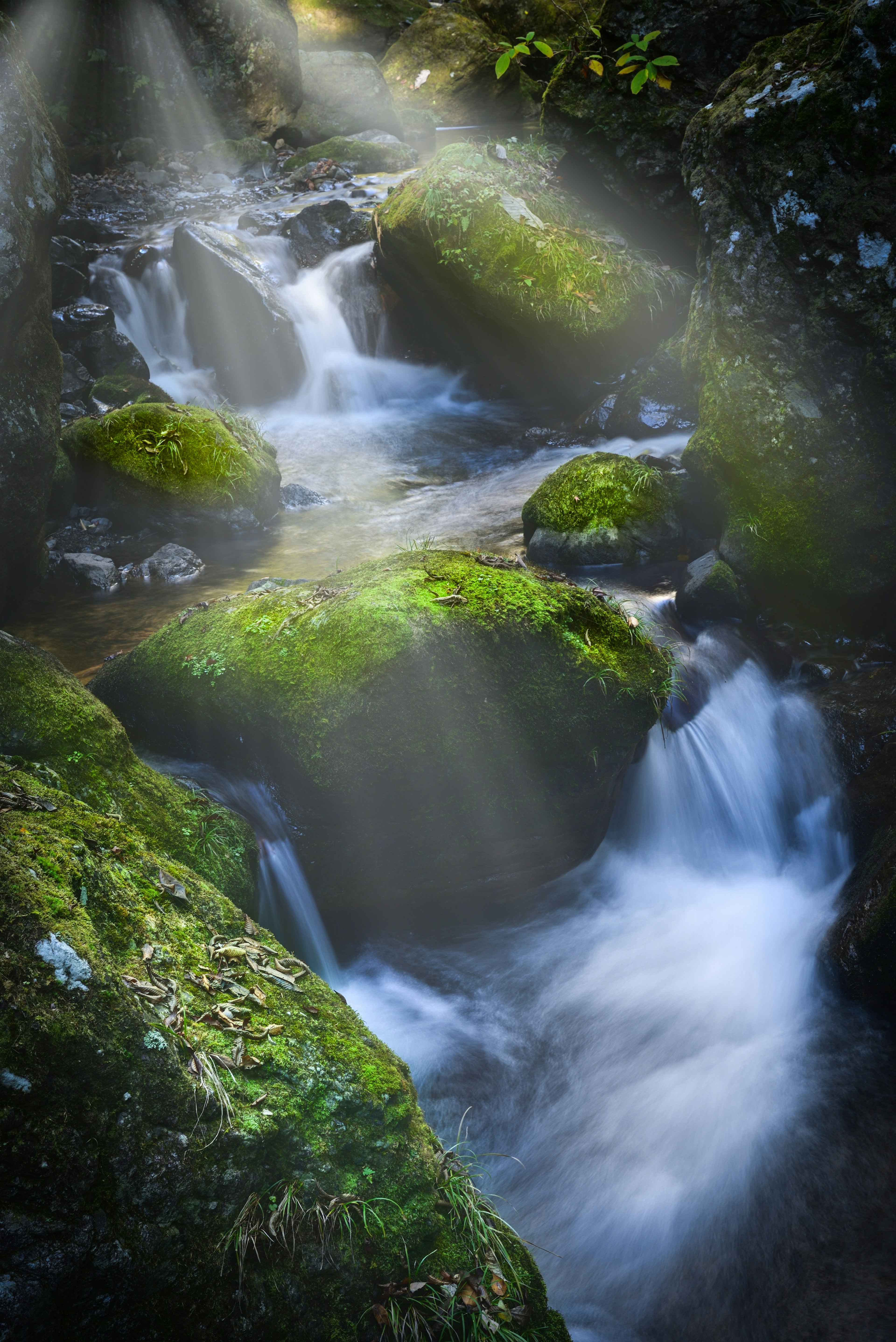 Paesaggio di un ruscello sereno con rocce coperte di muschio e acqua che scorre