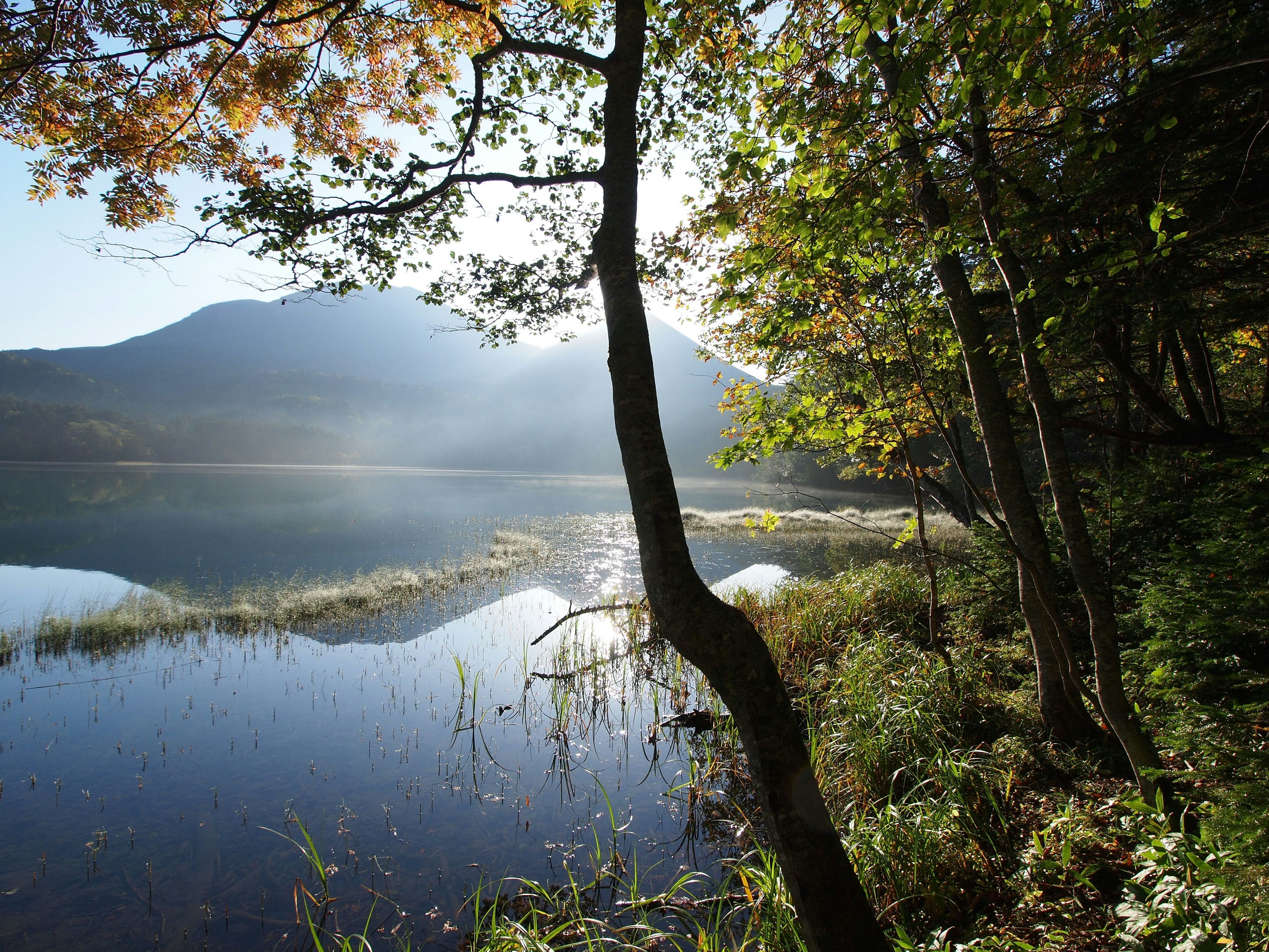 Serene lake view with mountains and vibrant autumn foliage