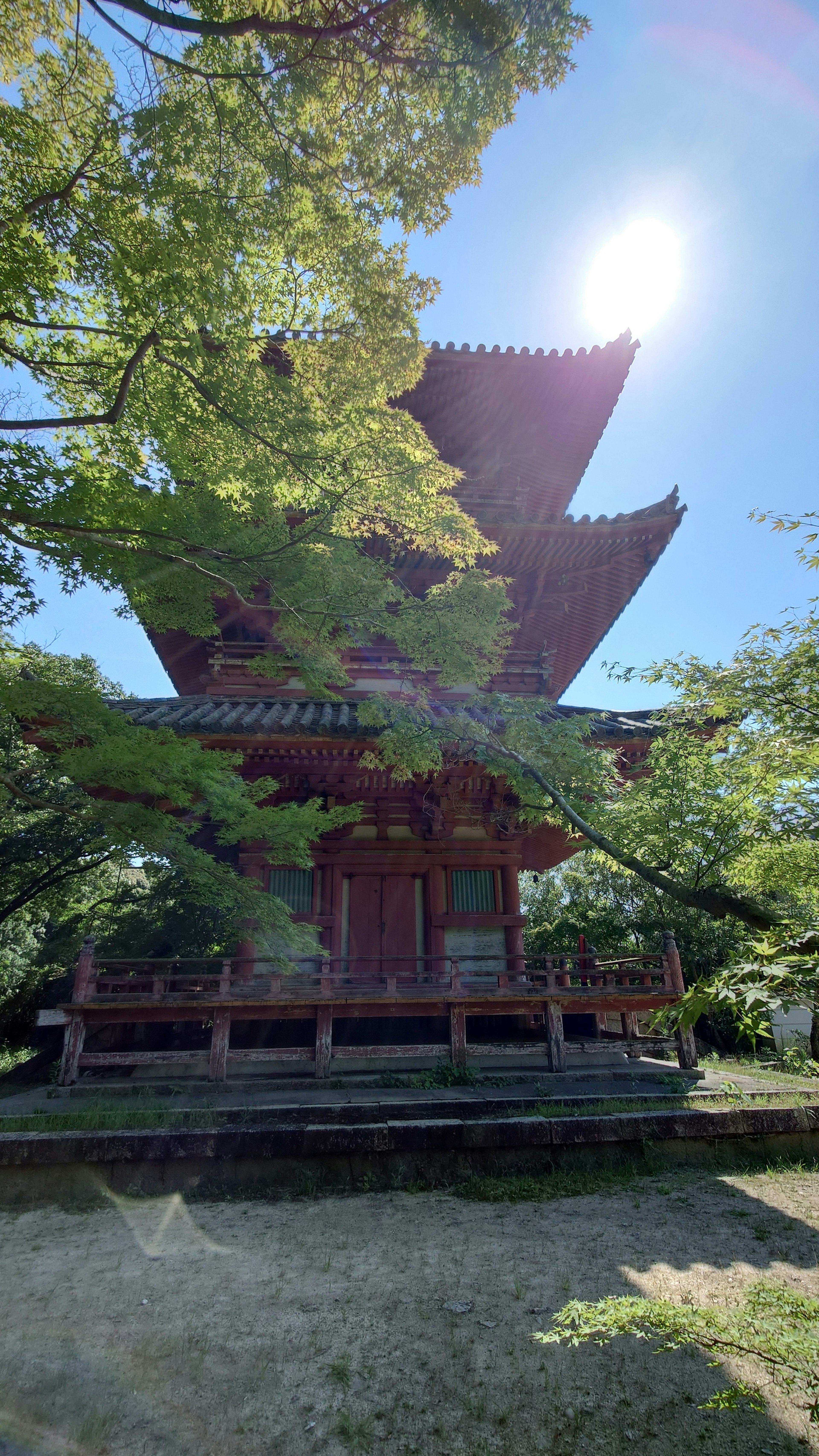 藍天下的紅色寺廟建築和綠色樹木